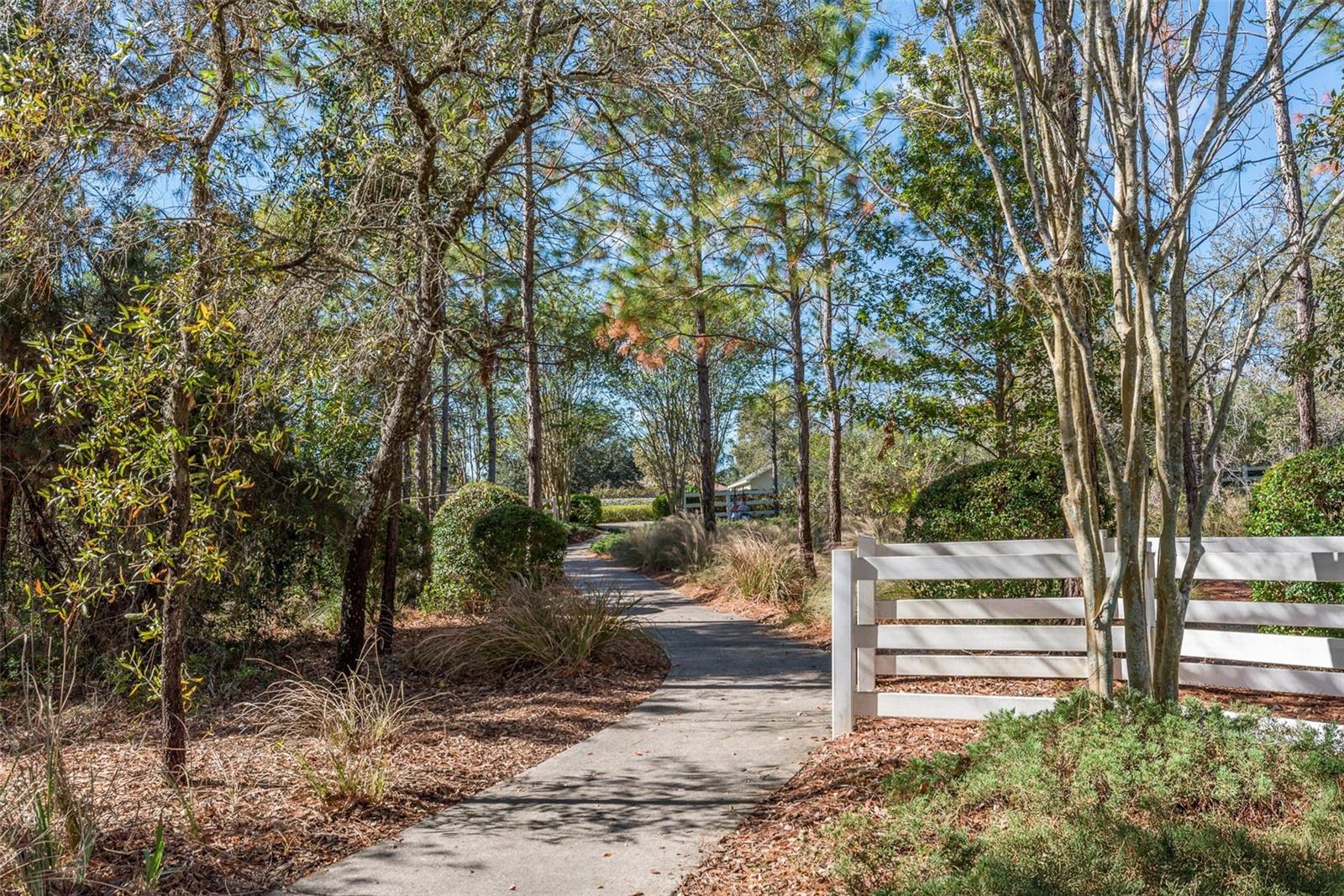 13393 GOLDEN LIME AVE, SPRING HILL, FL — photo 40