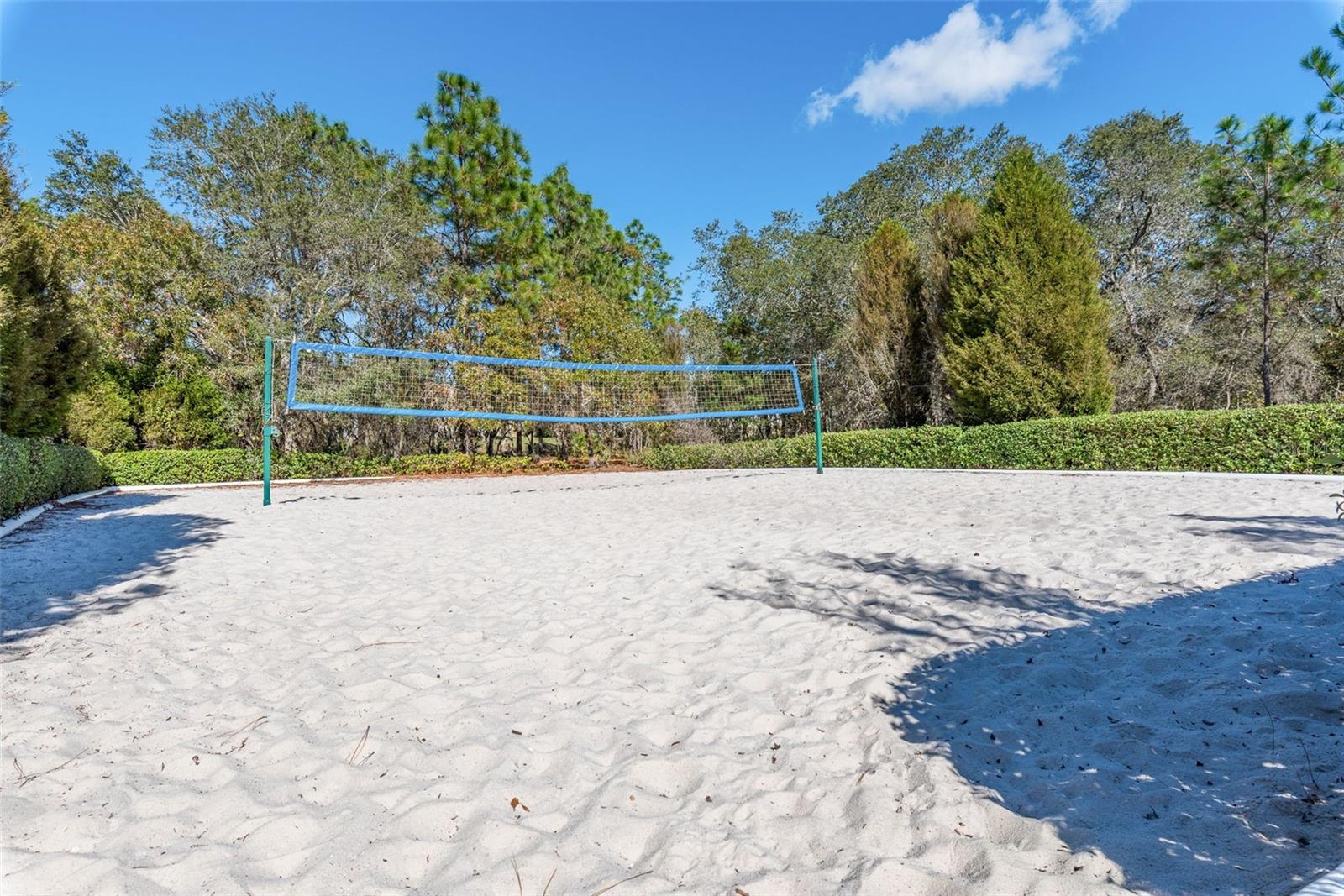 13393 GOLDEN LIME AVE, SPRING HILL, FL — photo 43