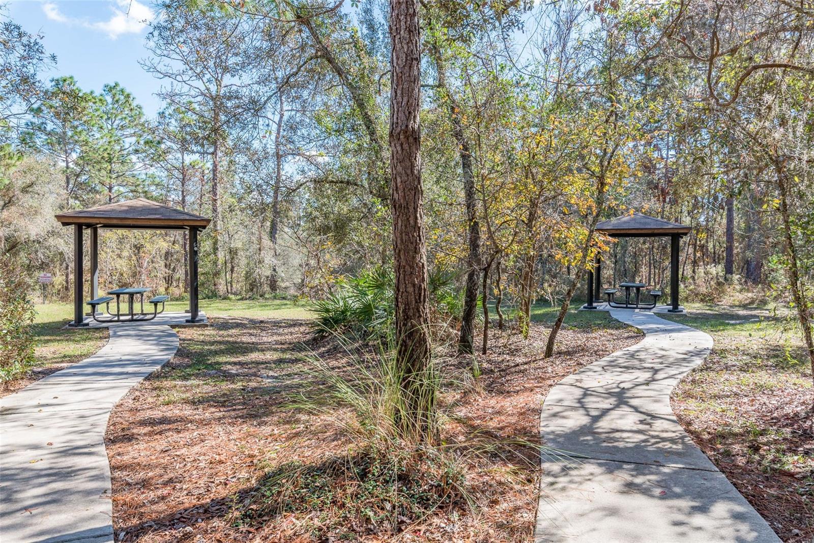 13393 GOLDEN LIME AVE, SPRING HILL, FL — photo 46