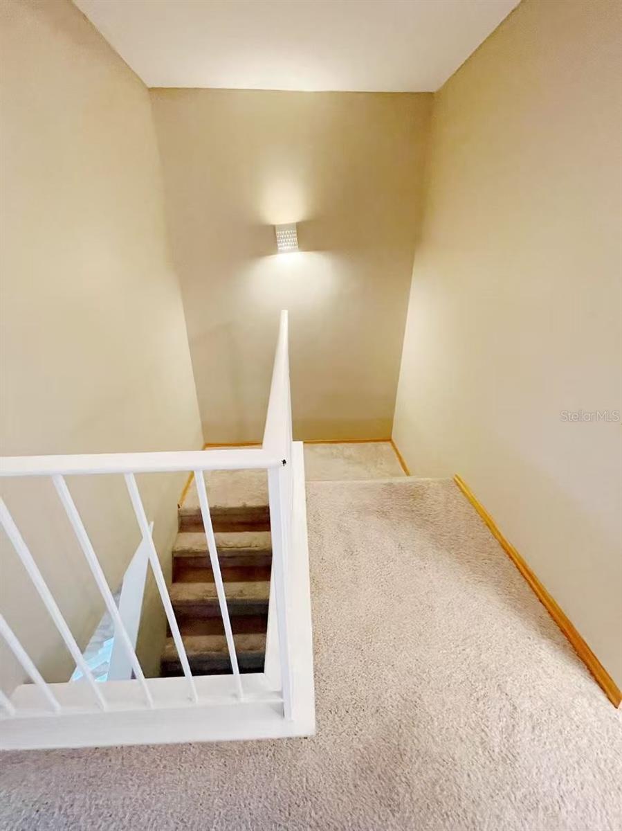 14402 REUTER STRASSE CIR #223, TAMPA, FL — photo 9