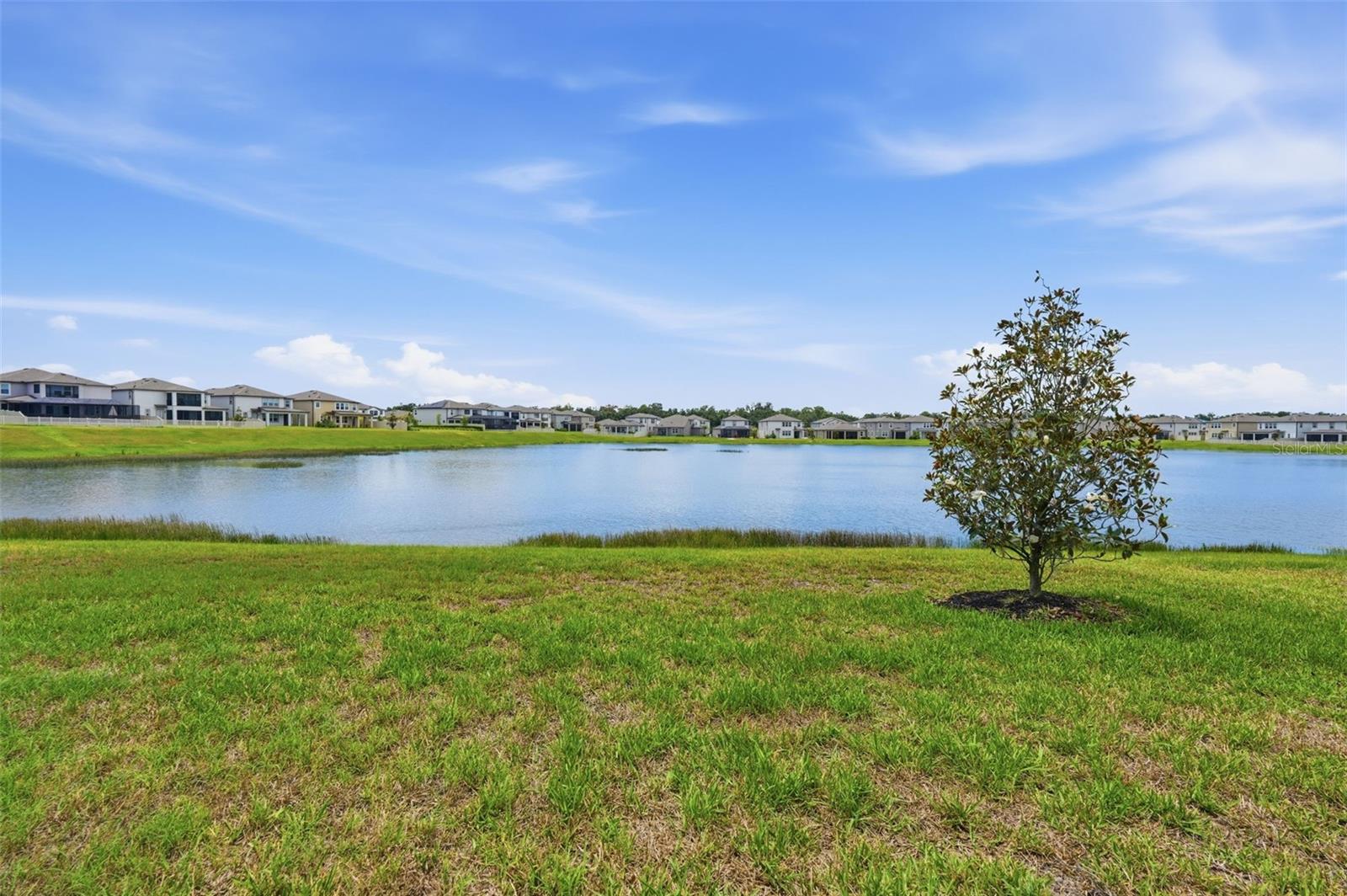 5059 BROMELIAD AVE, WIMAUMA, FL — photo 44