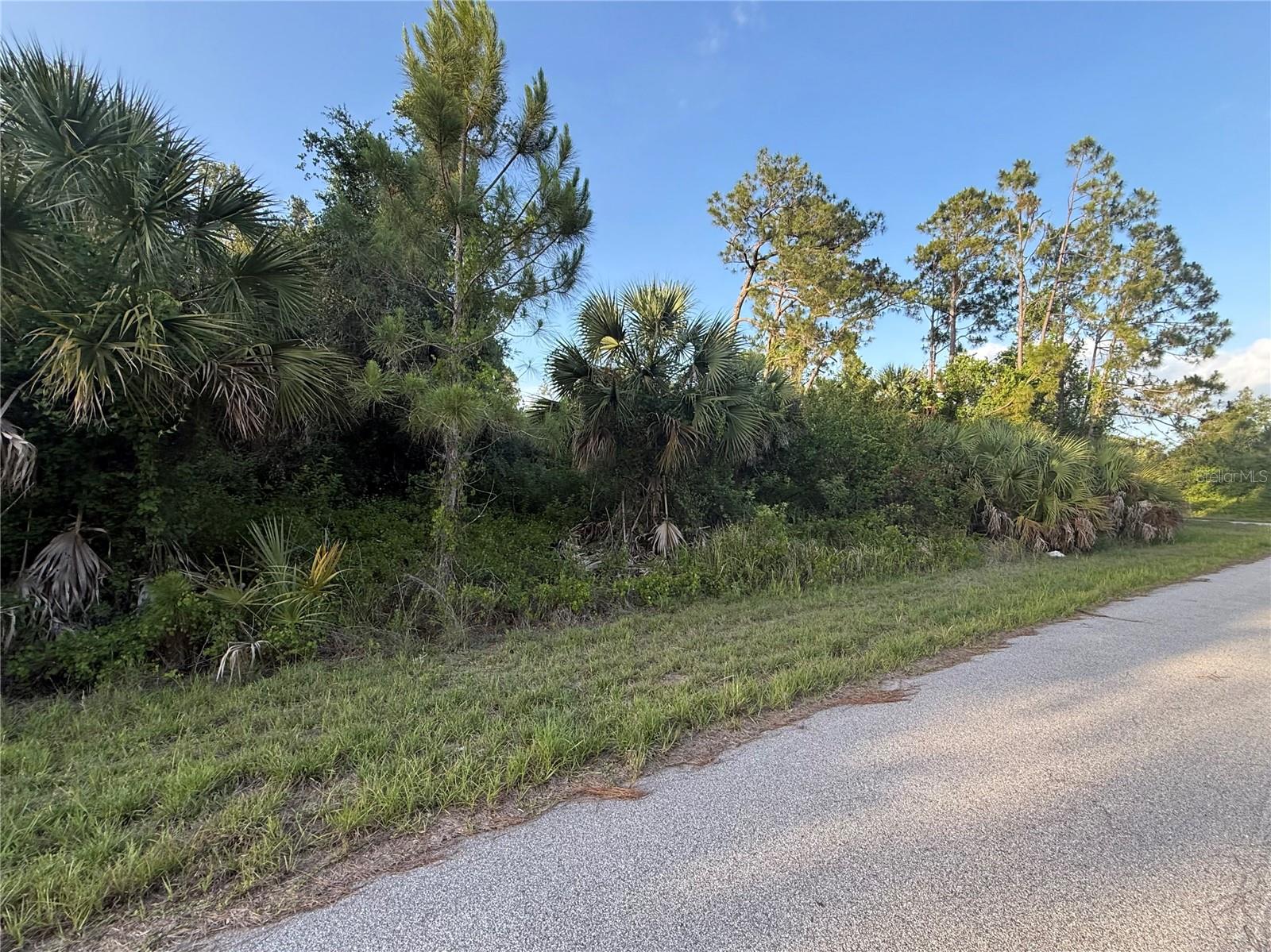 Lot 11 BARCELONA DR, NORTH PORT, FL — photo 6
