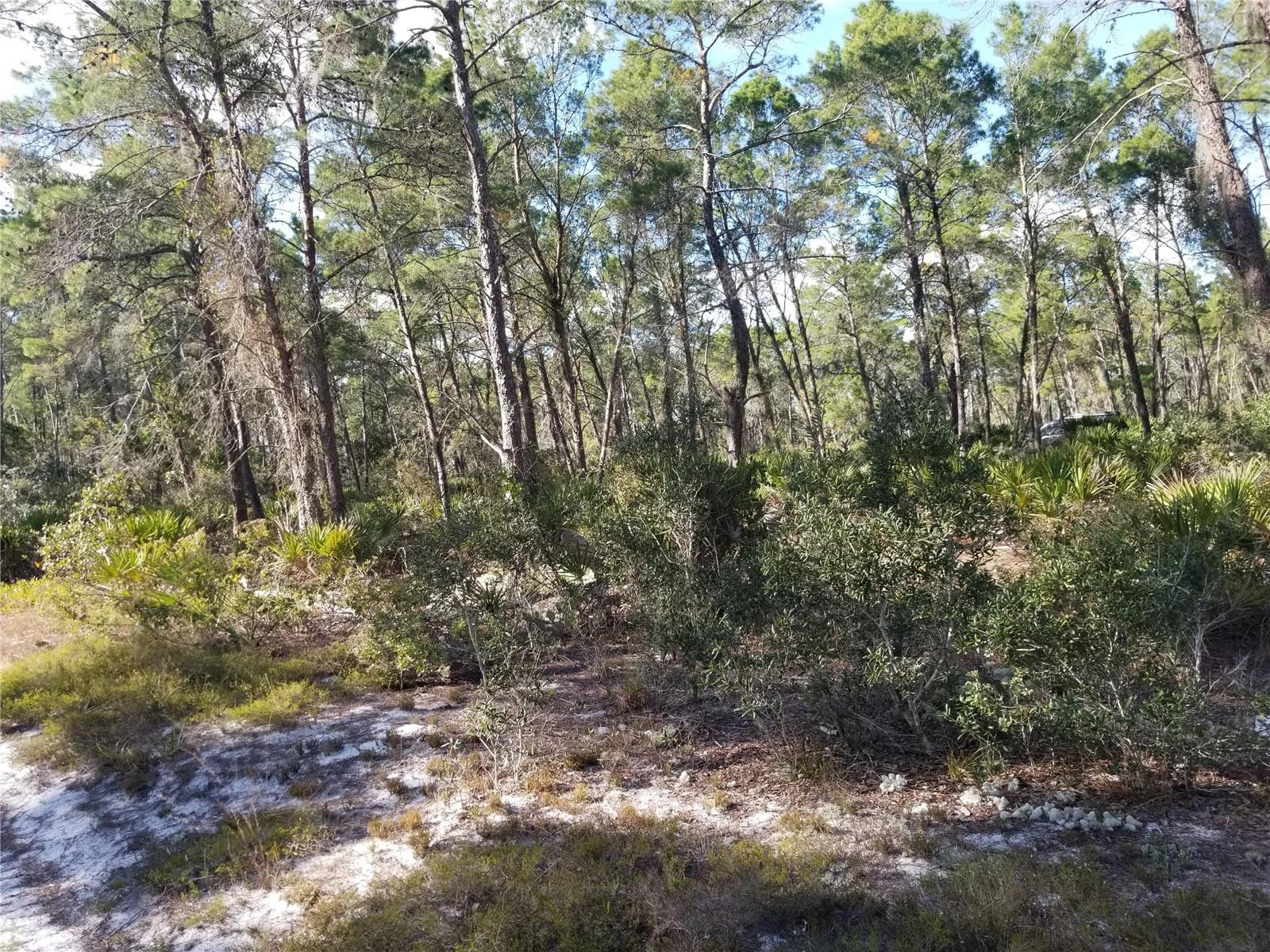 455 HUMMINGBIRD AVE, SEBRING, FL — photo 8