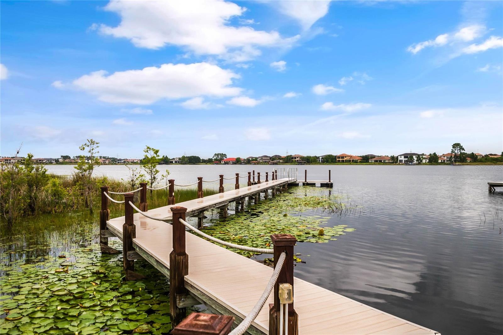 11524 CLAYMONT CIR, WINDERMERE, FL — photo 42
