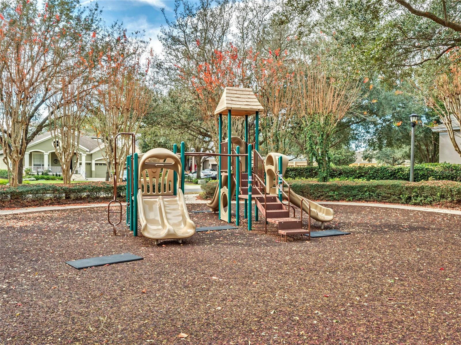 11524 CLAYMONT CIR, WINDERMERE, FL — photo 46