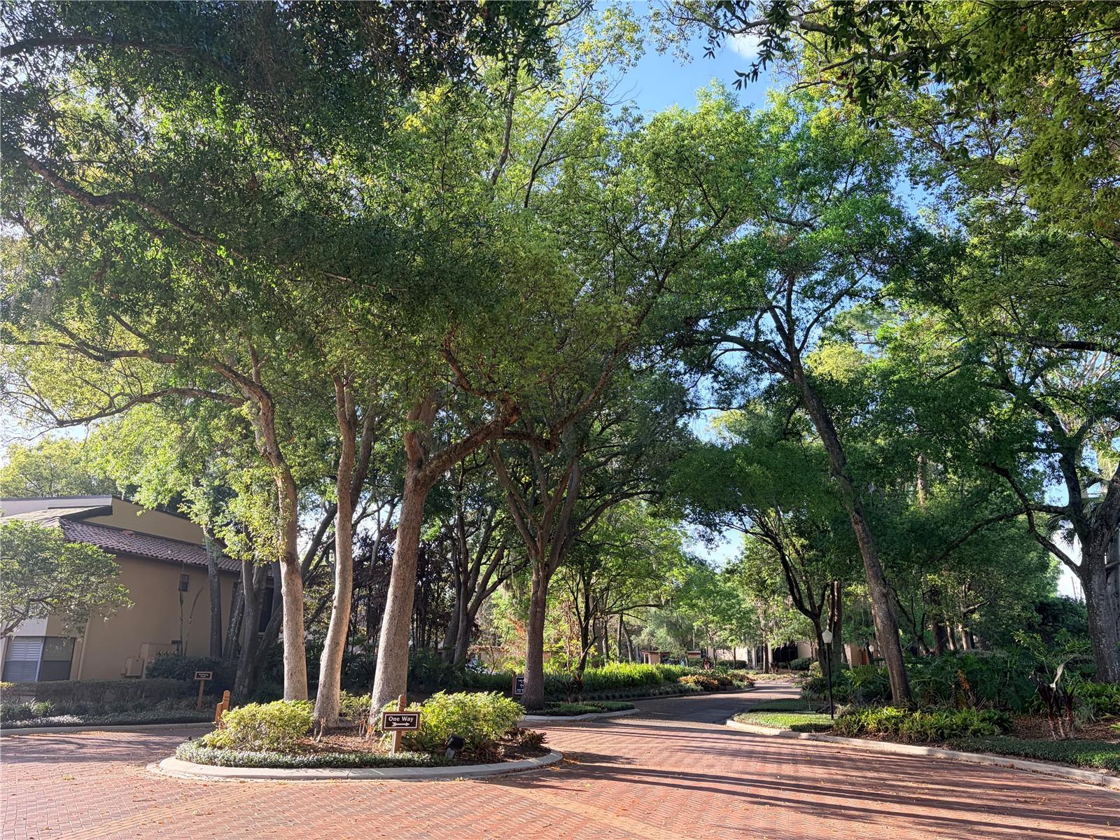 2867 MARSALA CT #2867, ORLANDO, FL — photo 27