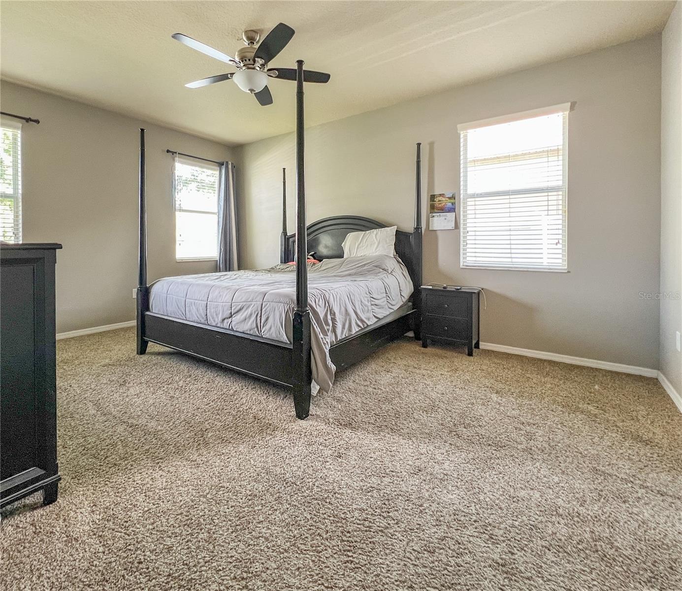 6906 BOULDER RUN LOOP, WESLEY CHAPEL, FL — photo 14