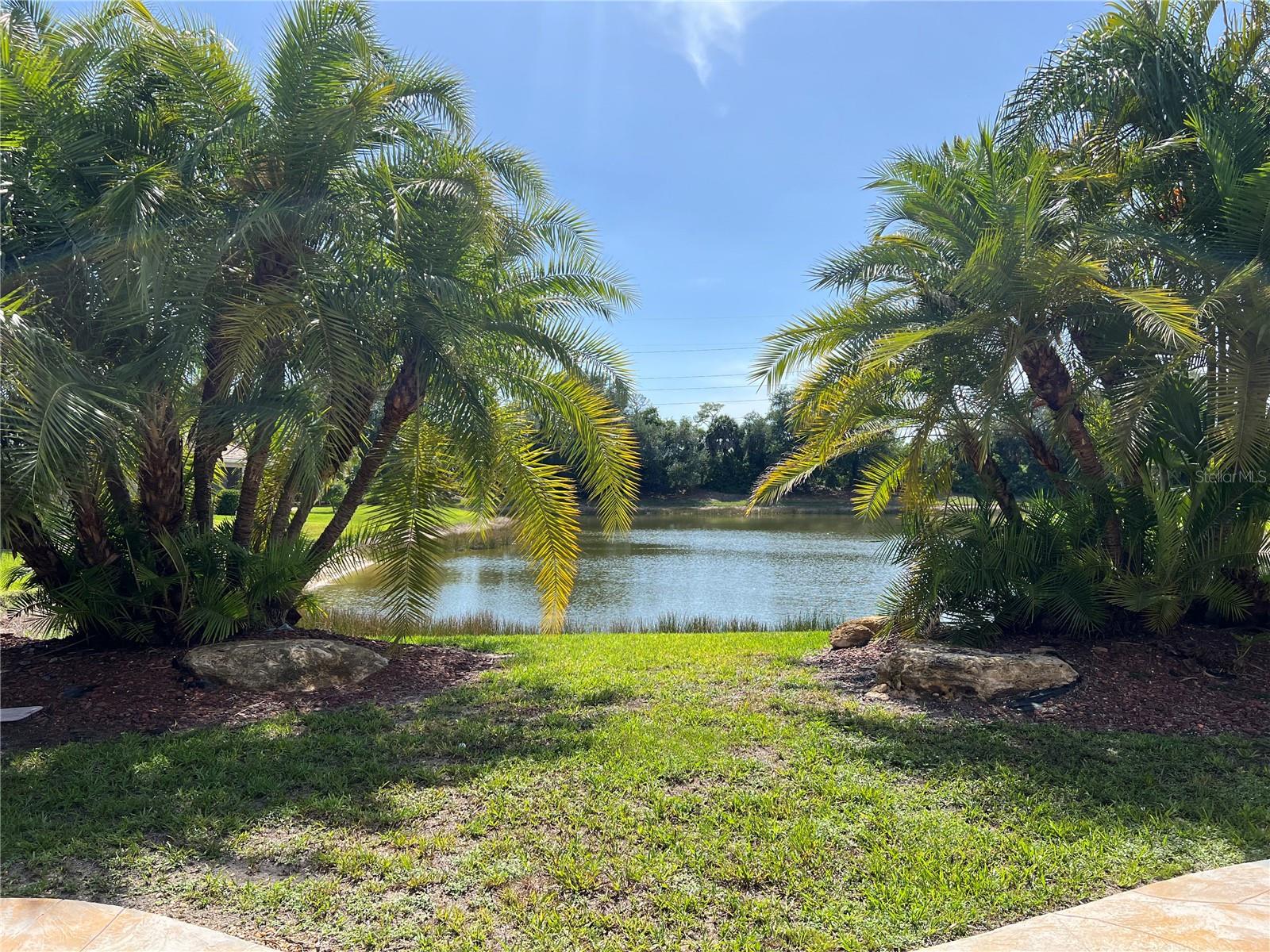2344 CARAWAY DR, VENICE, FL — photo 6