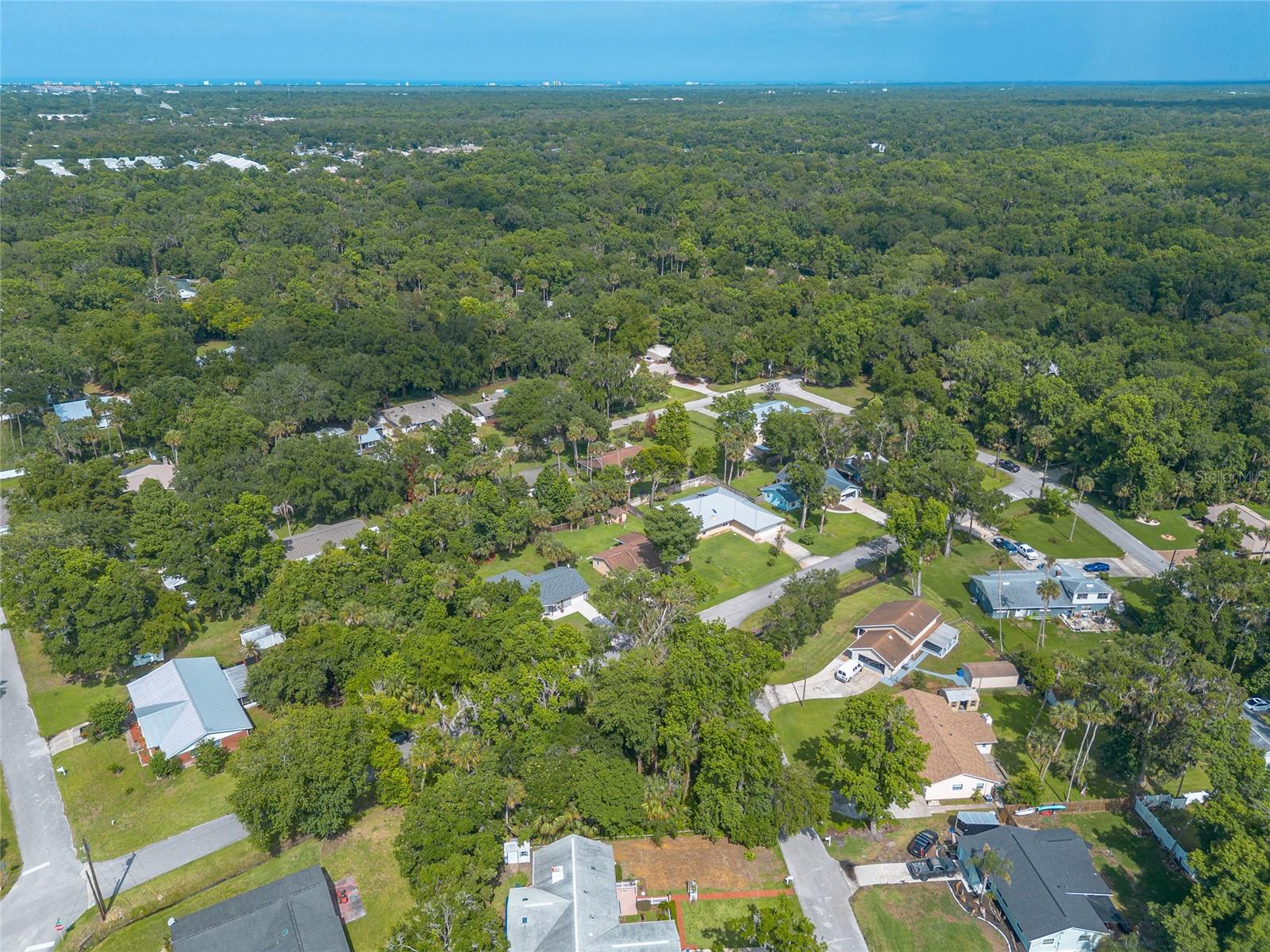 2433 CLAIRE AVE, NEW SMYRNA BEACH, FL — photo 8