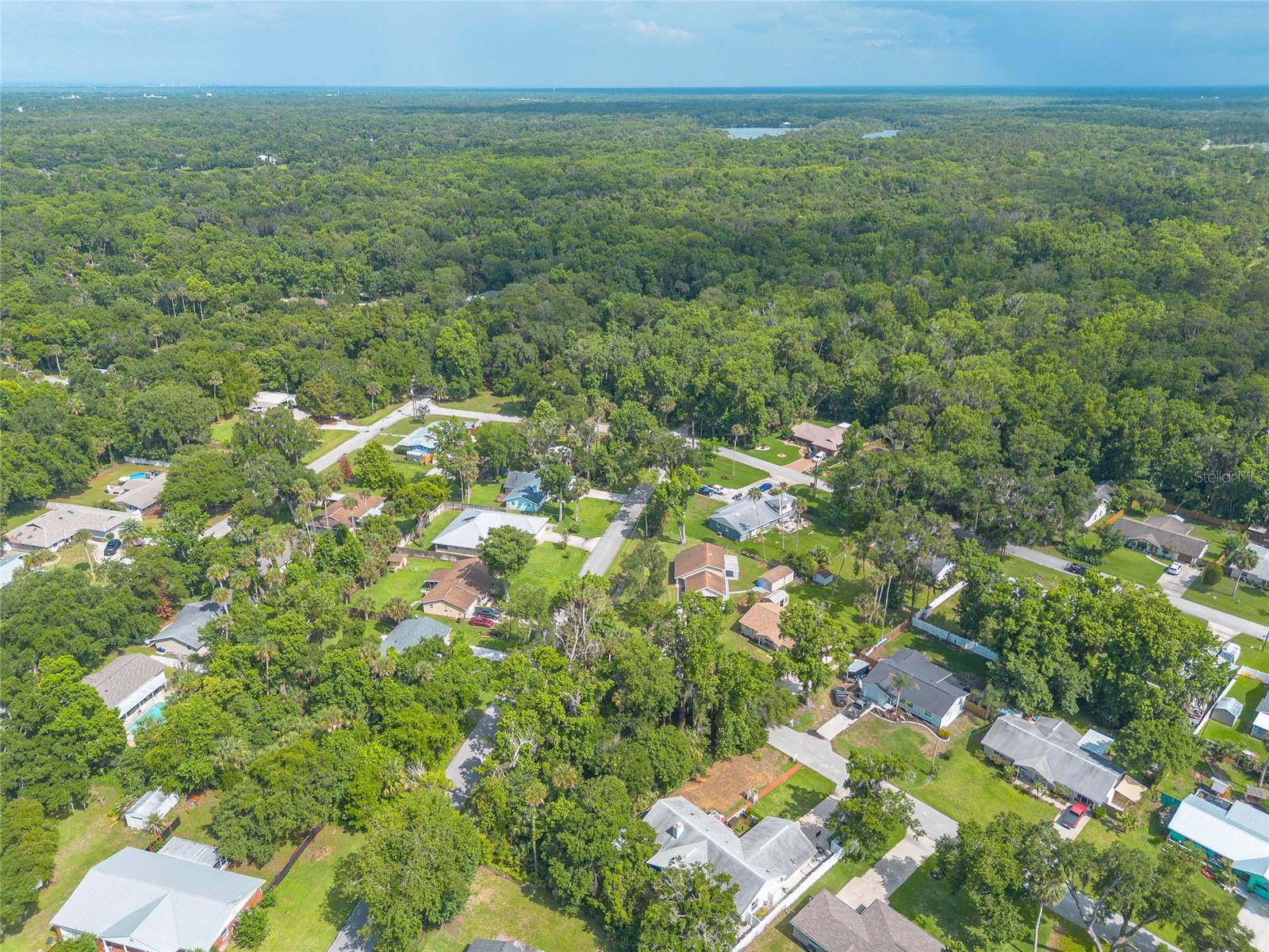 2433 CLAIRE AVE, NEW SMYRNA BEACH, FL — photo 9