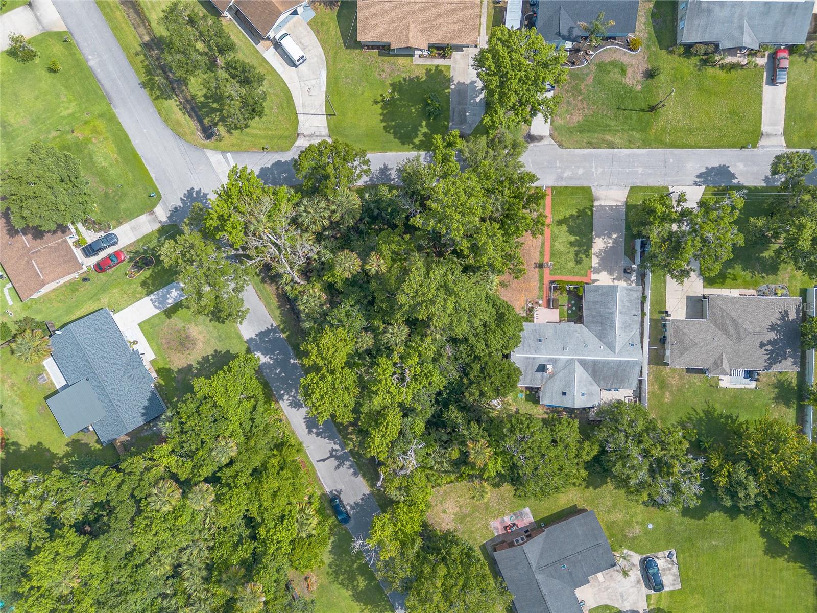 2433 CLAIRE AVE, NEW SMYRNA BEACH, FL — photo 11