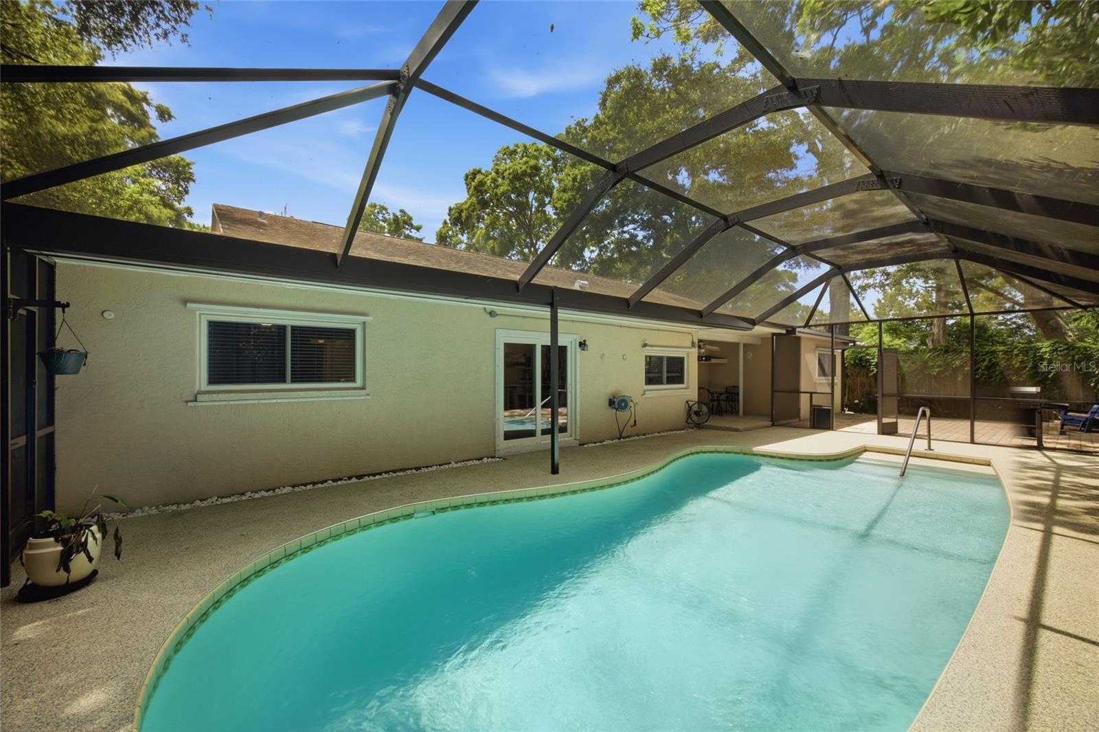 2447 GROVE RIDGE DR, PALM HARBOR, FL — photo 3