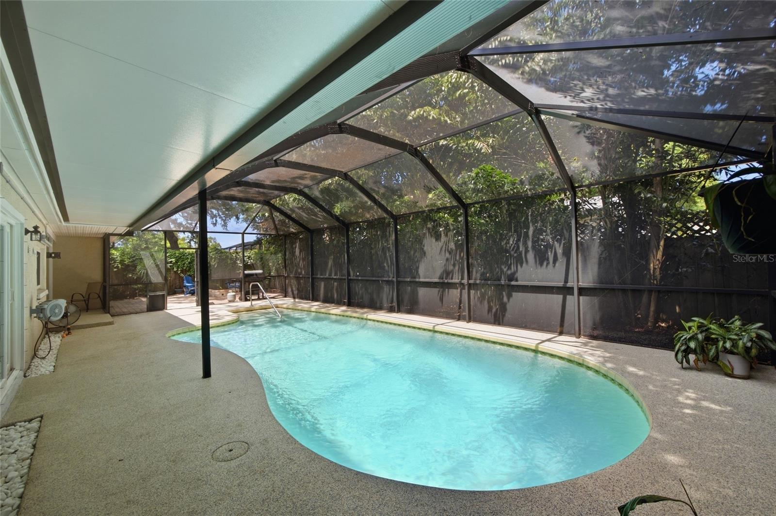 2447 GROVE RIDGE DR, PALM HARBOR, FL — photo 34