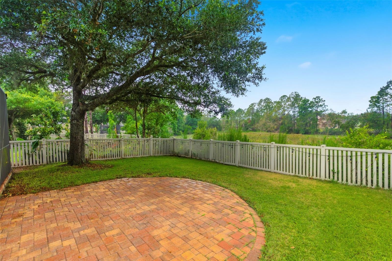 21347 MORNING MIST WAY, LAND O LAKES, FL — photo 3