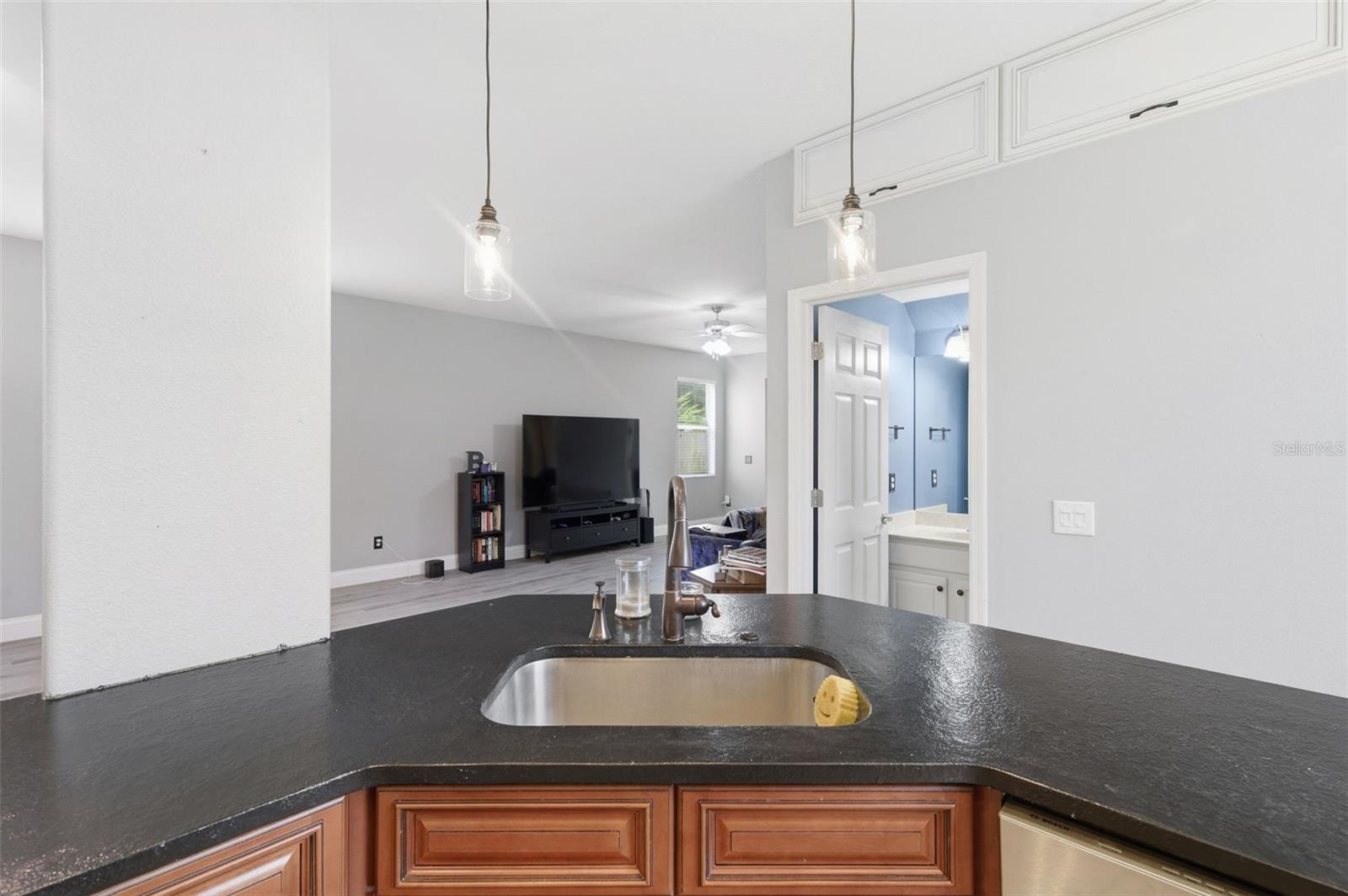 21347 MORNING MIST WAY, LAND O LAKES, FL — photo 16