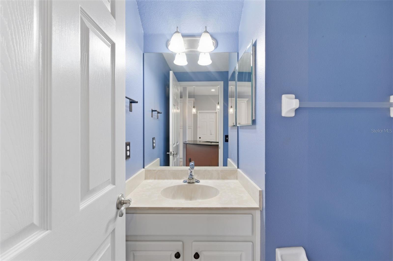 21347 MORNING MIST WAY, LAND O LAKES, FL — photo 21