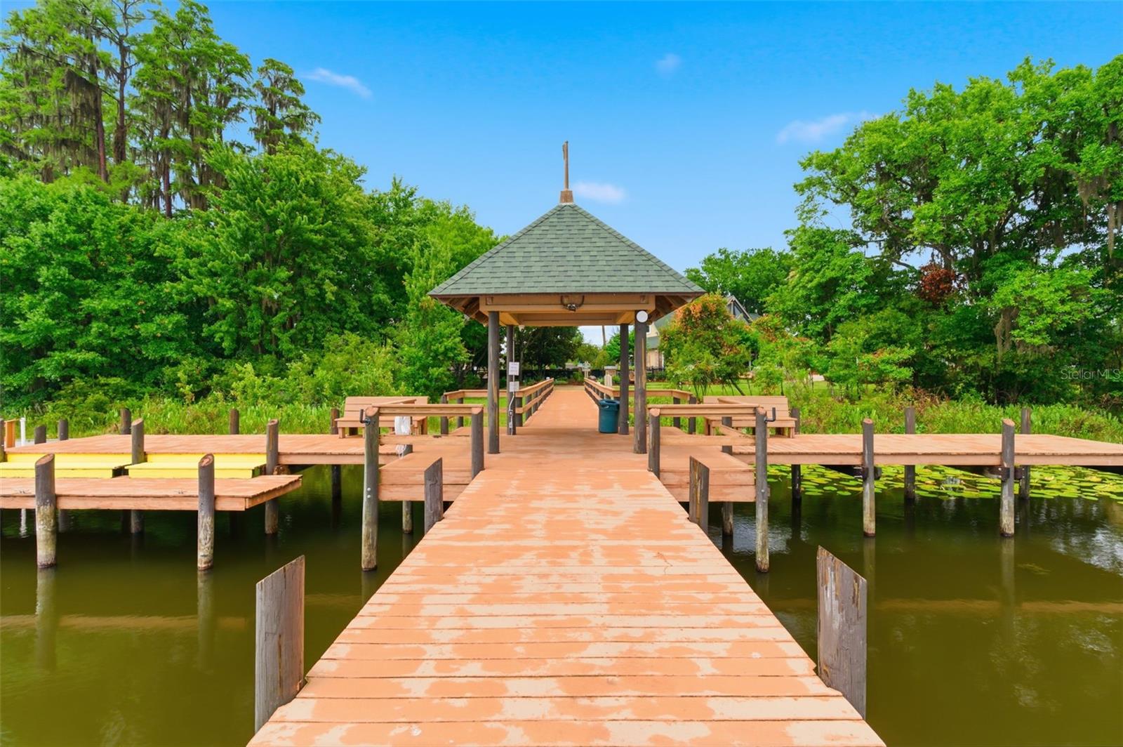 21347 MORNING MIST WAY, LAND O LAKES, FL — photo 49