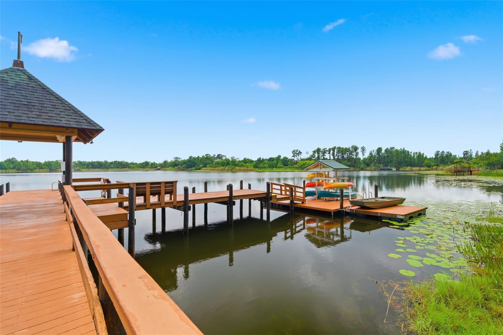 21347 MORNING MIST WAY, LAND O LAKES, FL — photo 50