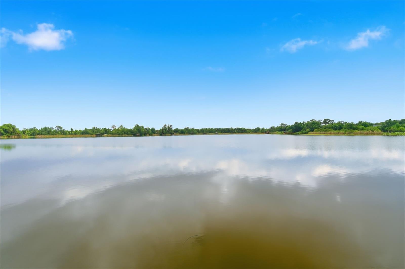 21347 MORNING MIST WAY, LAND O LAKES, FL — photo 52