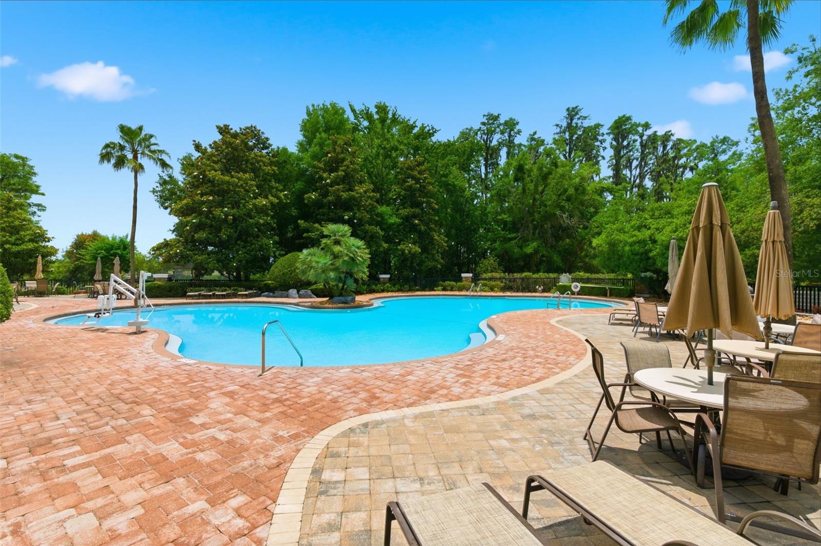21347 MORNING MIST WAY, LAND O LAKES, FL — photo 60