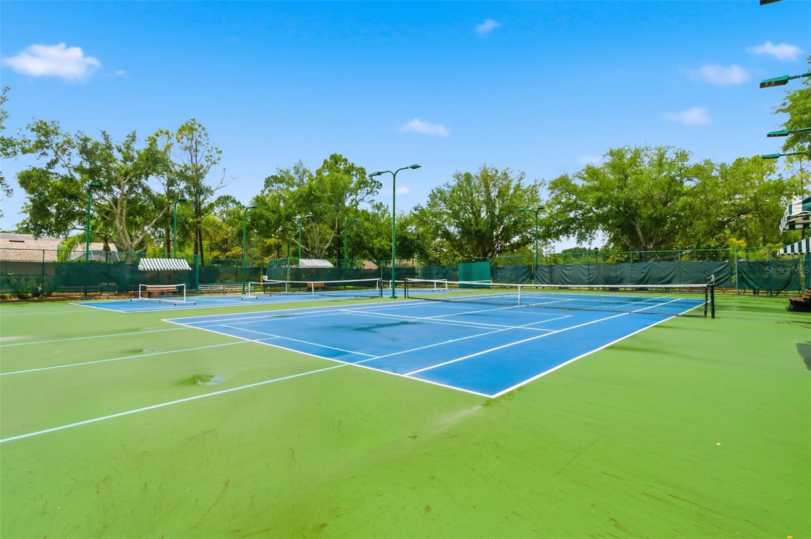 21347 MORNING MIST WAY, LAND O LAKES, FL — photo 64