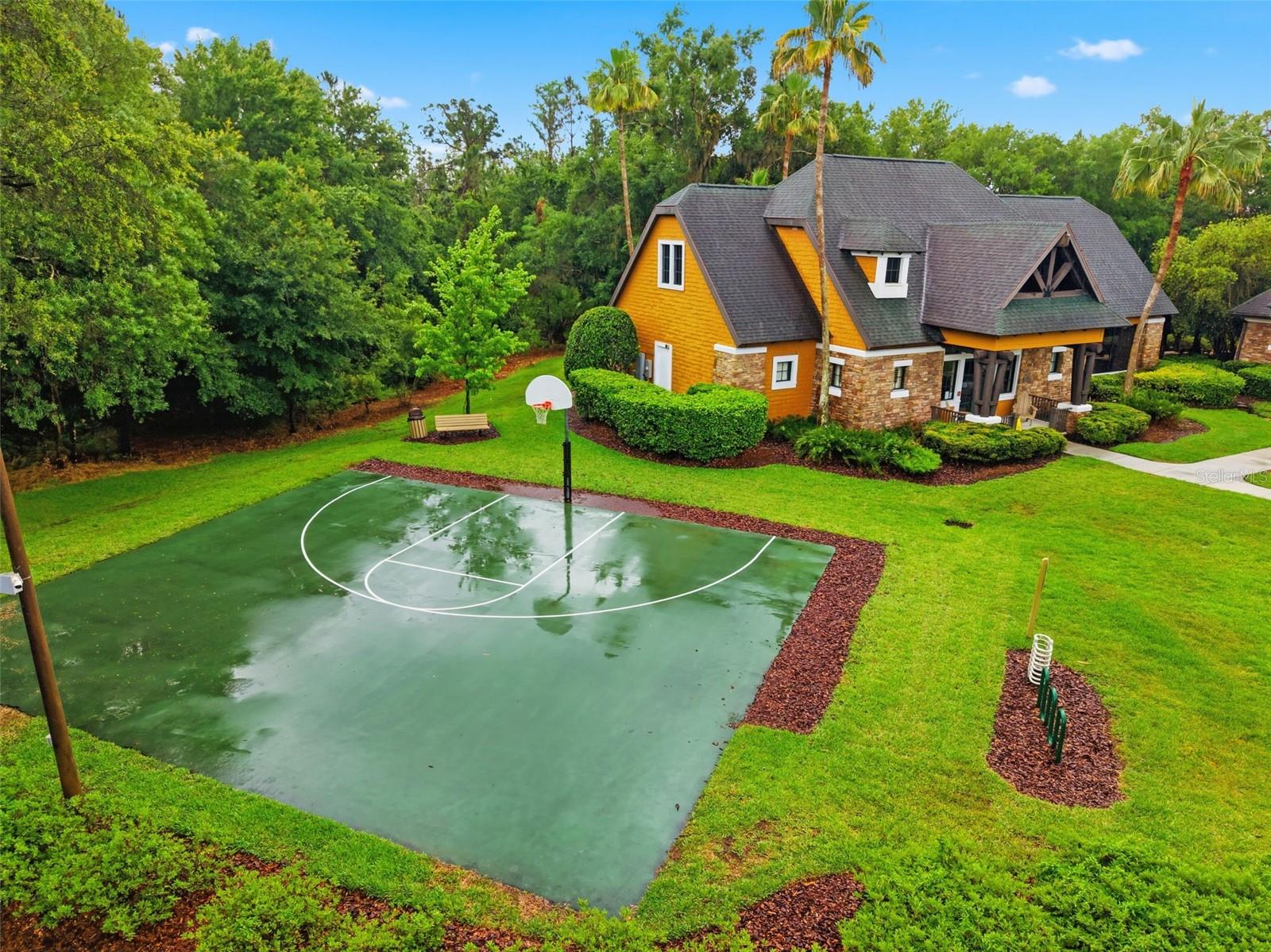 21347 MORNING MIST WAY, LAND O LAKES, FL — photo 66