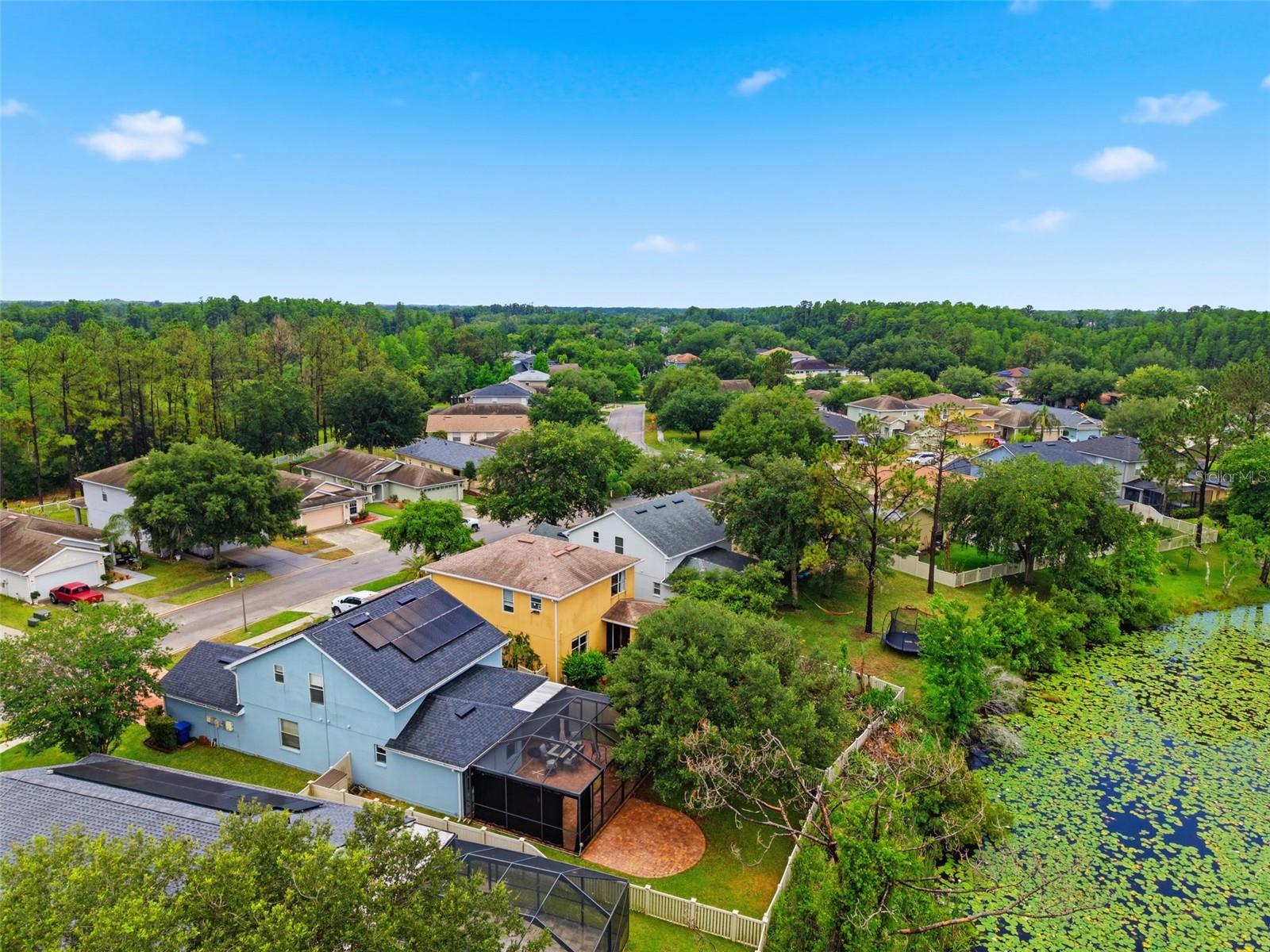 21347 MORNING MIST WAY, LAND O LAKES, FL — photo 76