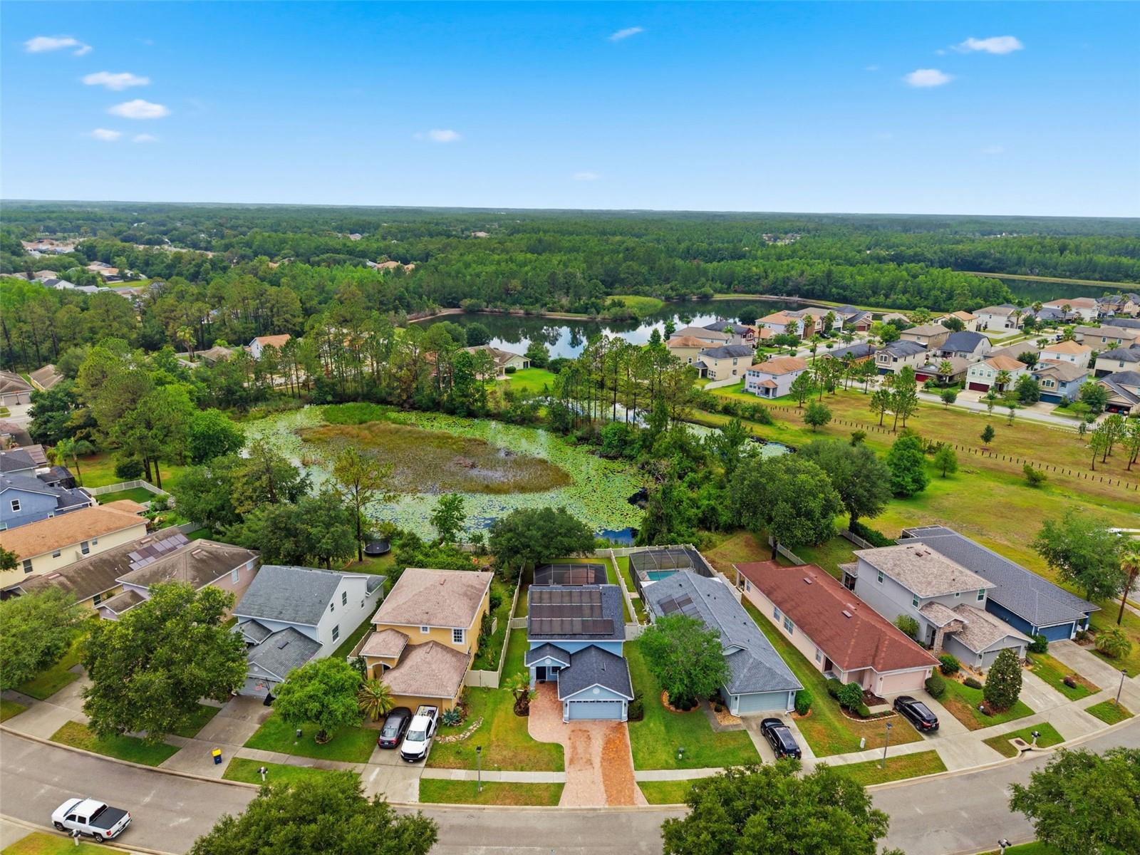 21347 MORNING MIST WAY, LAND O LAKES, FL — photo 79