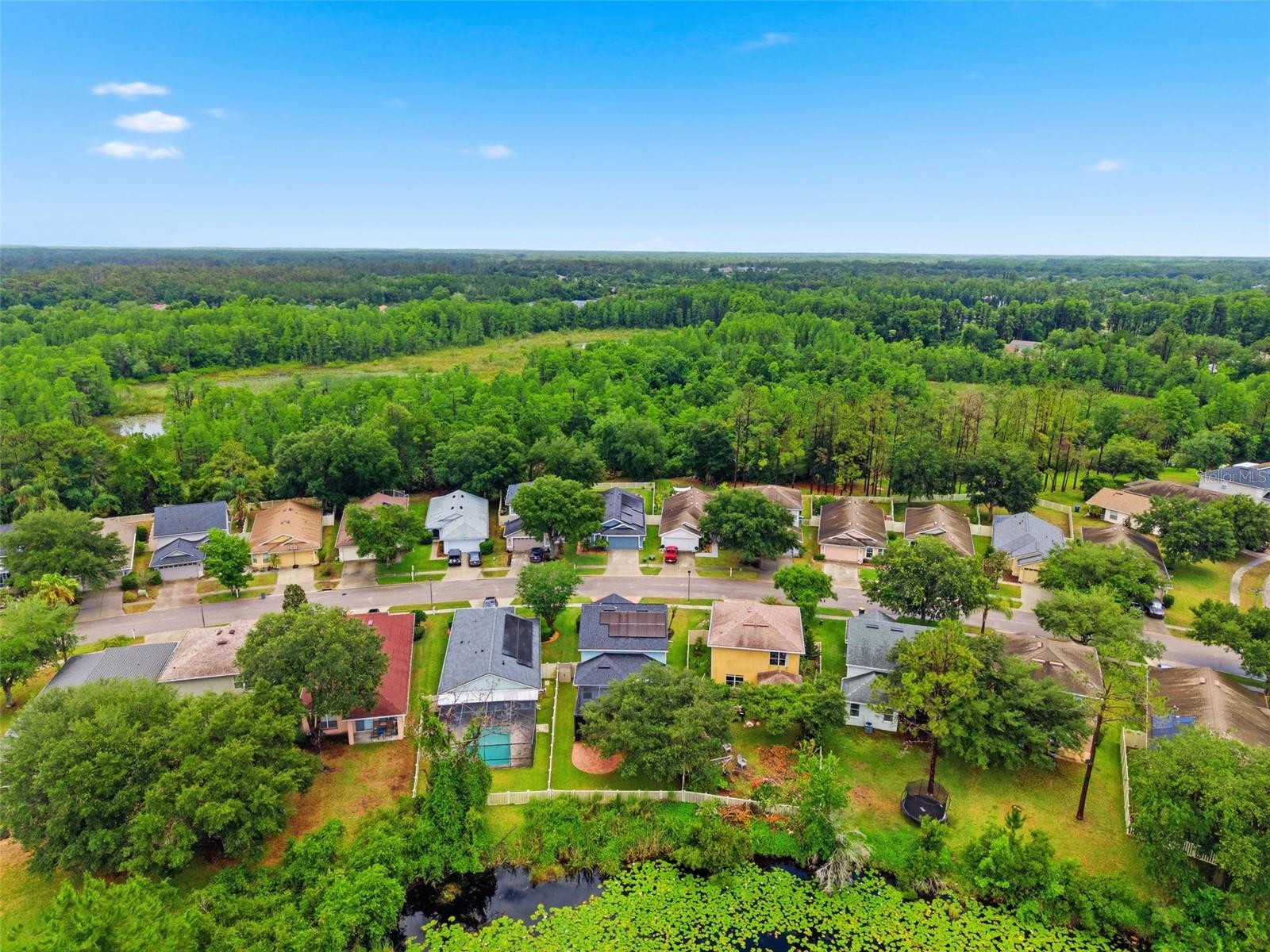 21347 MORNING MIST WAY, LAND O LAKES, FL — photo 81