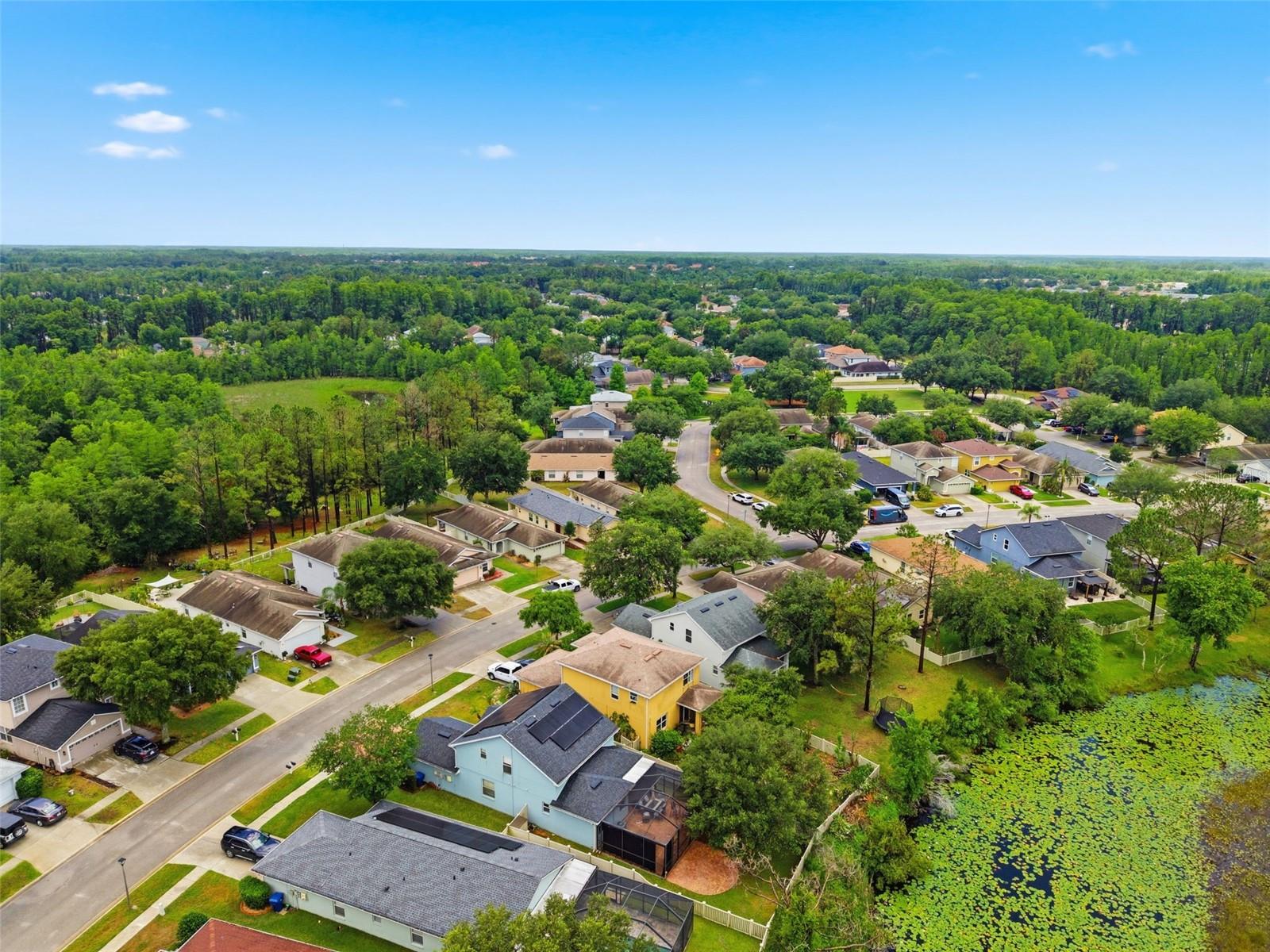 21347 MORNING MIST WAY, LAND O LAKES, FL — photo 82