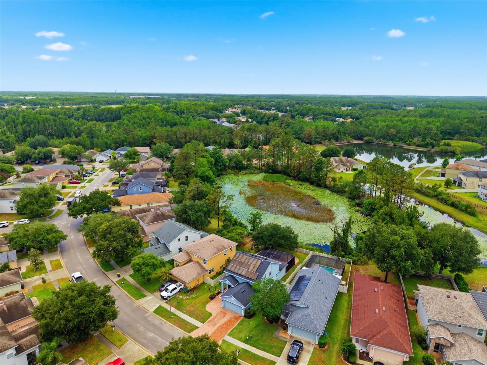 21347 MORNING MIST WAY, LAND O LAKES, FL — photo 83