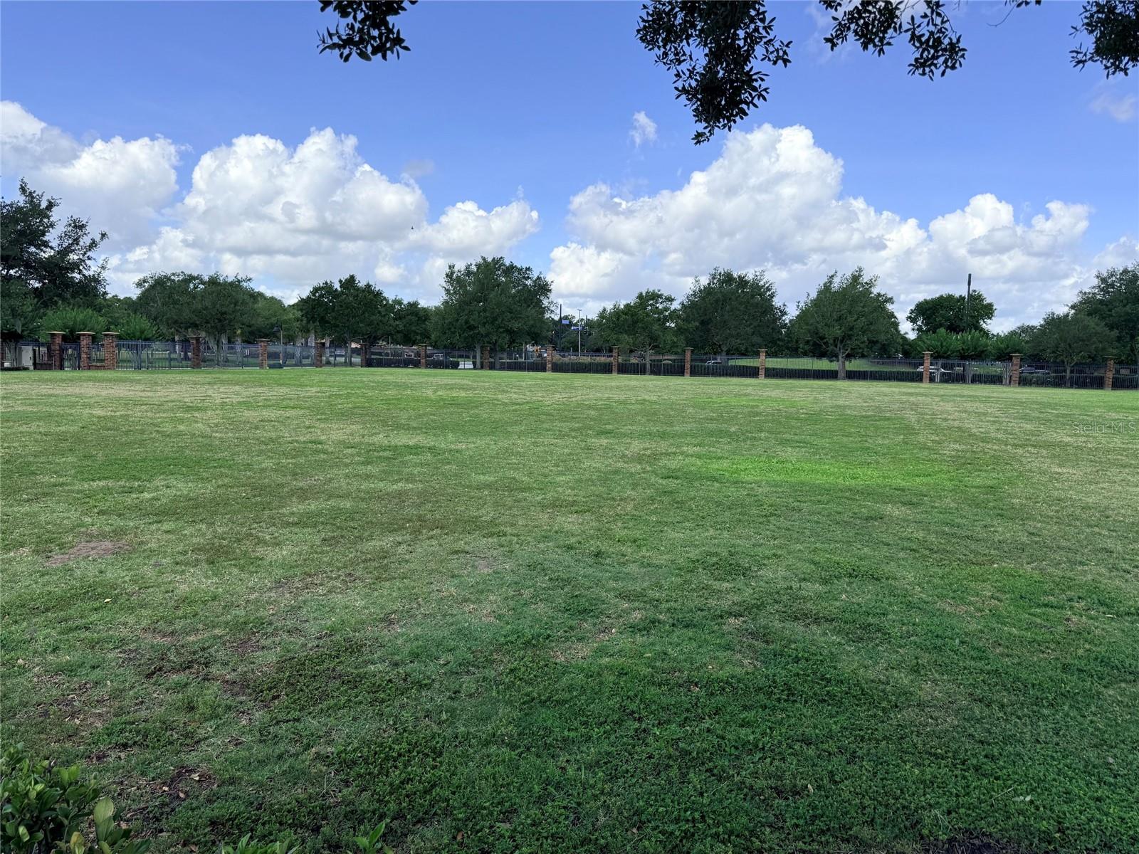 2084 WATER TUPELO WAY, OCOEE, FL — photo 33