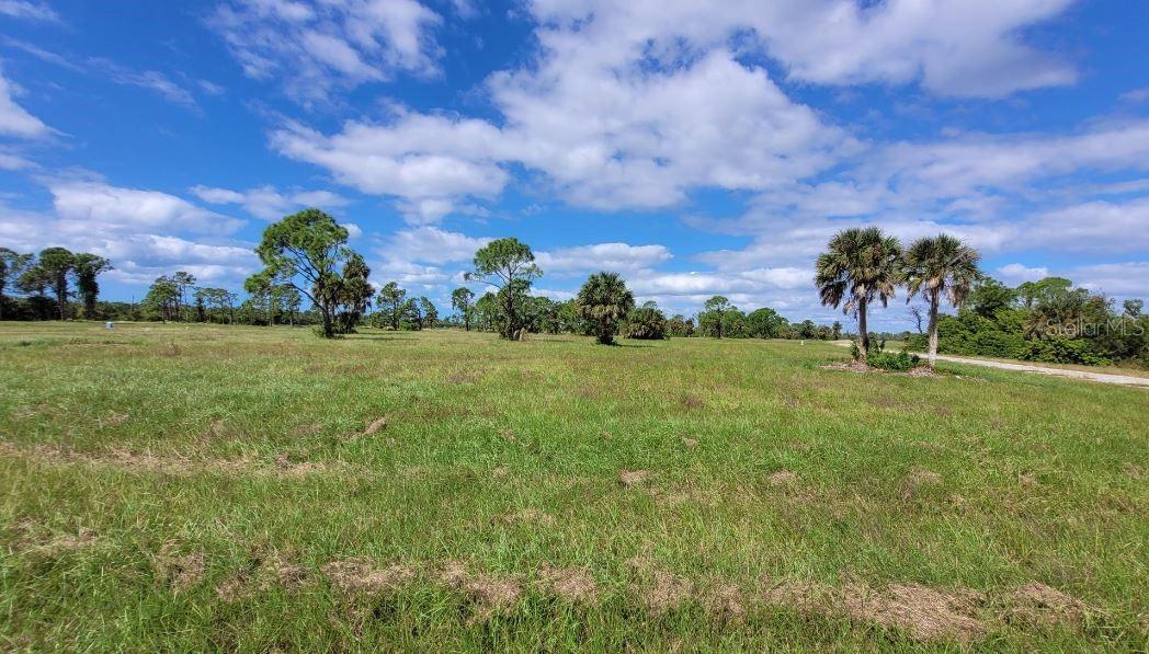 13111 BLUE MARLIN RD, PLACIDA, FL — photo 5