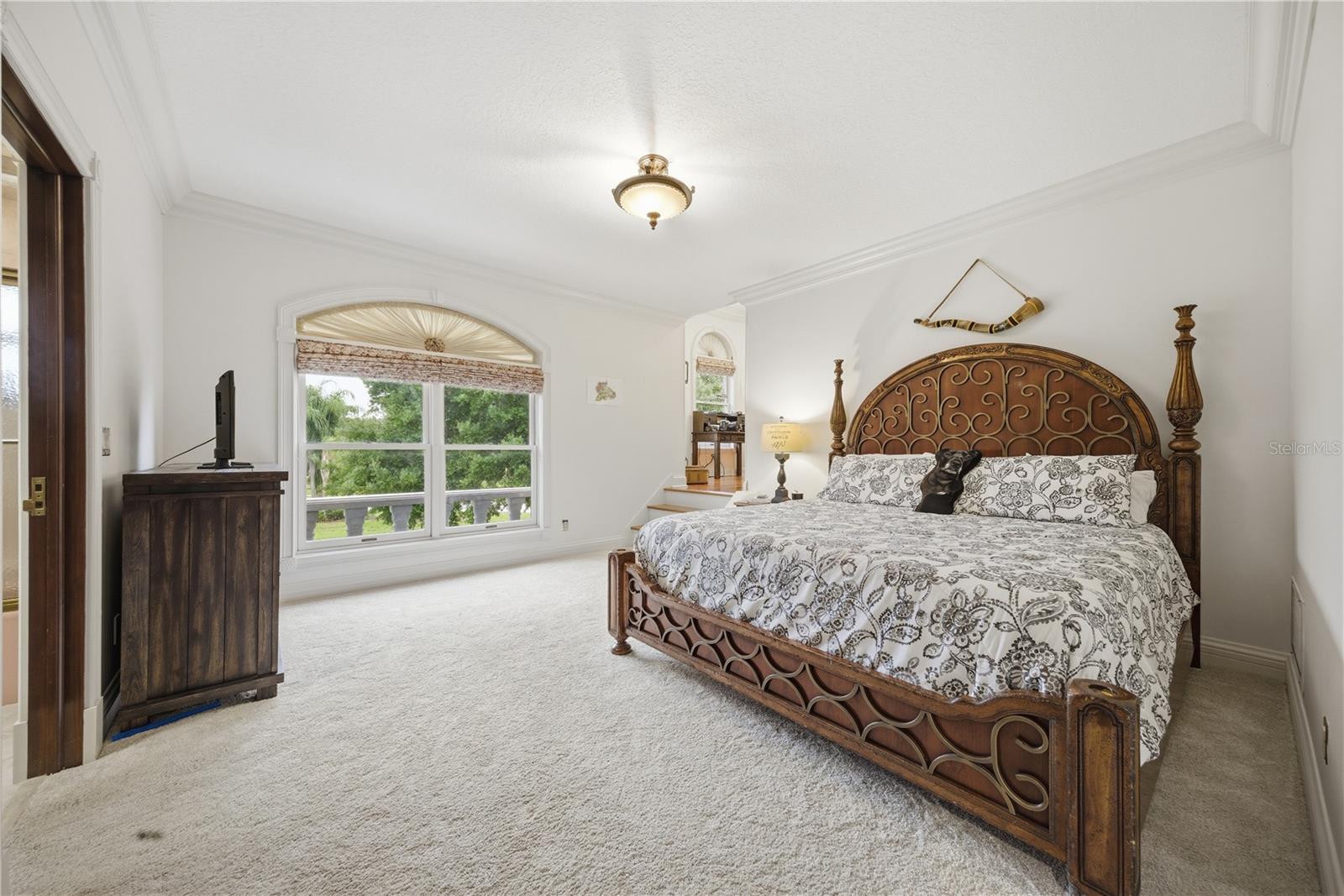 4123 HIGHLAND PARK CIR, LUTZ, FL — photo 41