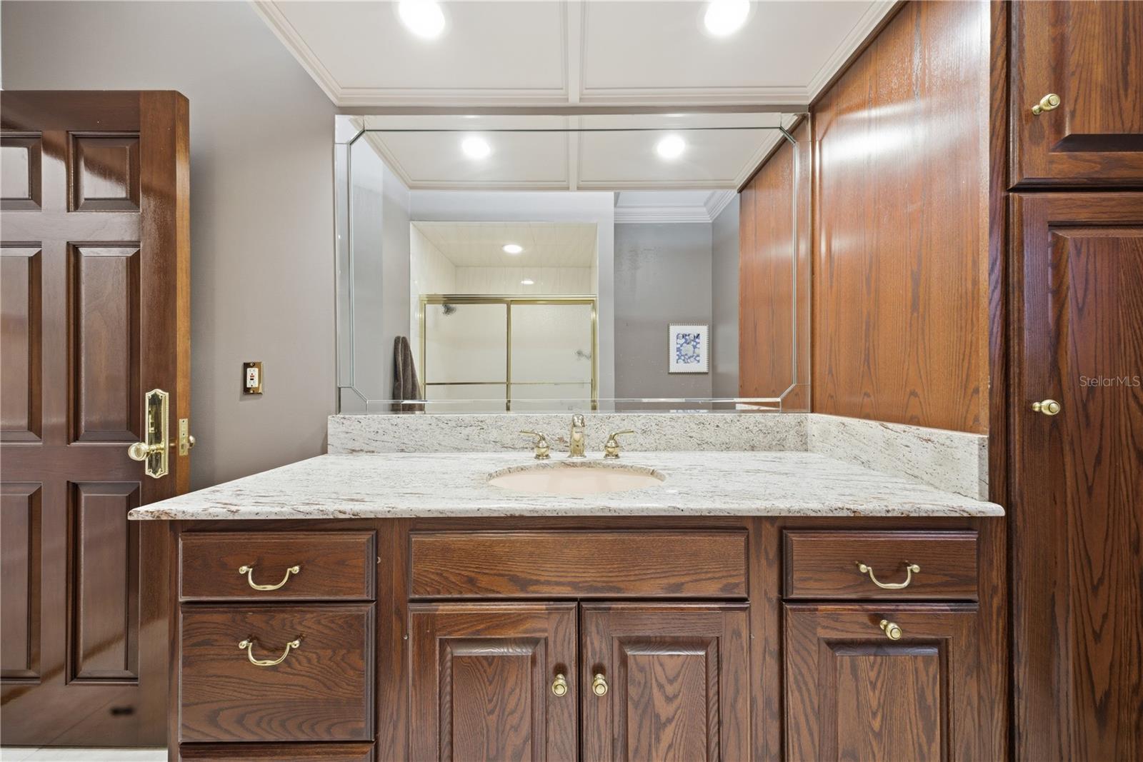 4123 HIGHLAND PARK CIR, LUTZ, FL — photo 54