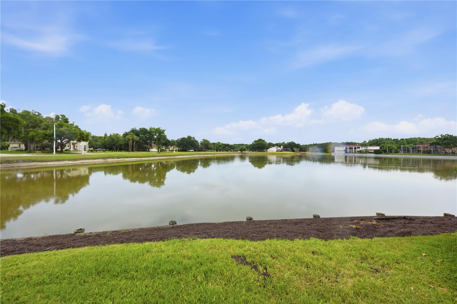 4123 HIGHLAND PARK CIR, LUTZ, FL — photo 65