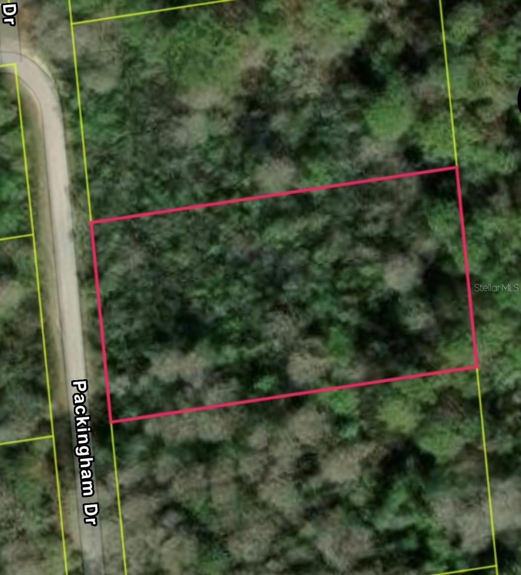 PACKINGHAM DR, LOT 10, WEBSTER, FL