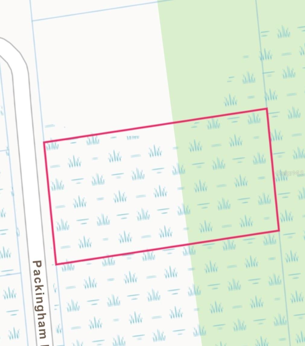 PACKINGHAM DR, LOT 10, WEBSTER, FL — photo 2