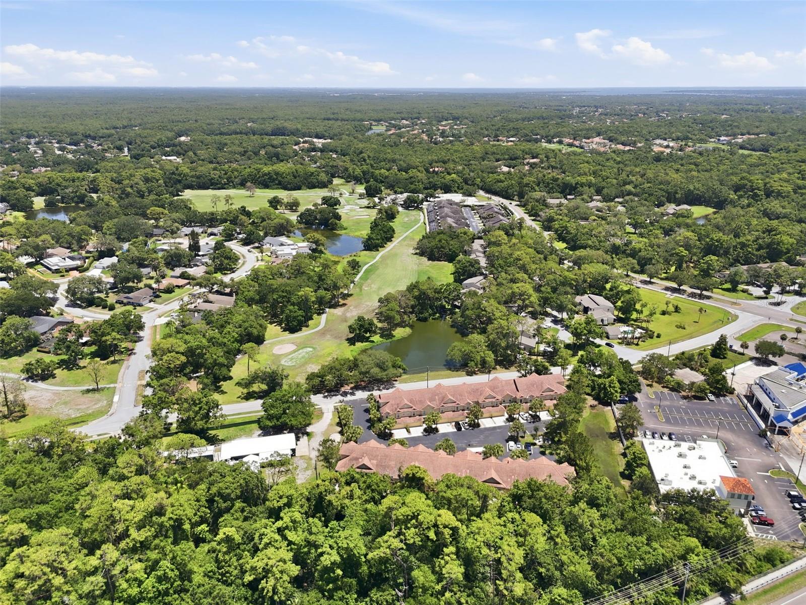 2656 TANGLEWOOD TRL, PALM HARBOR, FL — photo 46