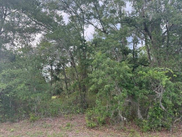 21902 NE 69TH PL, MELROSE, FL — photo 2