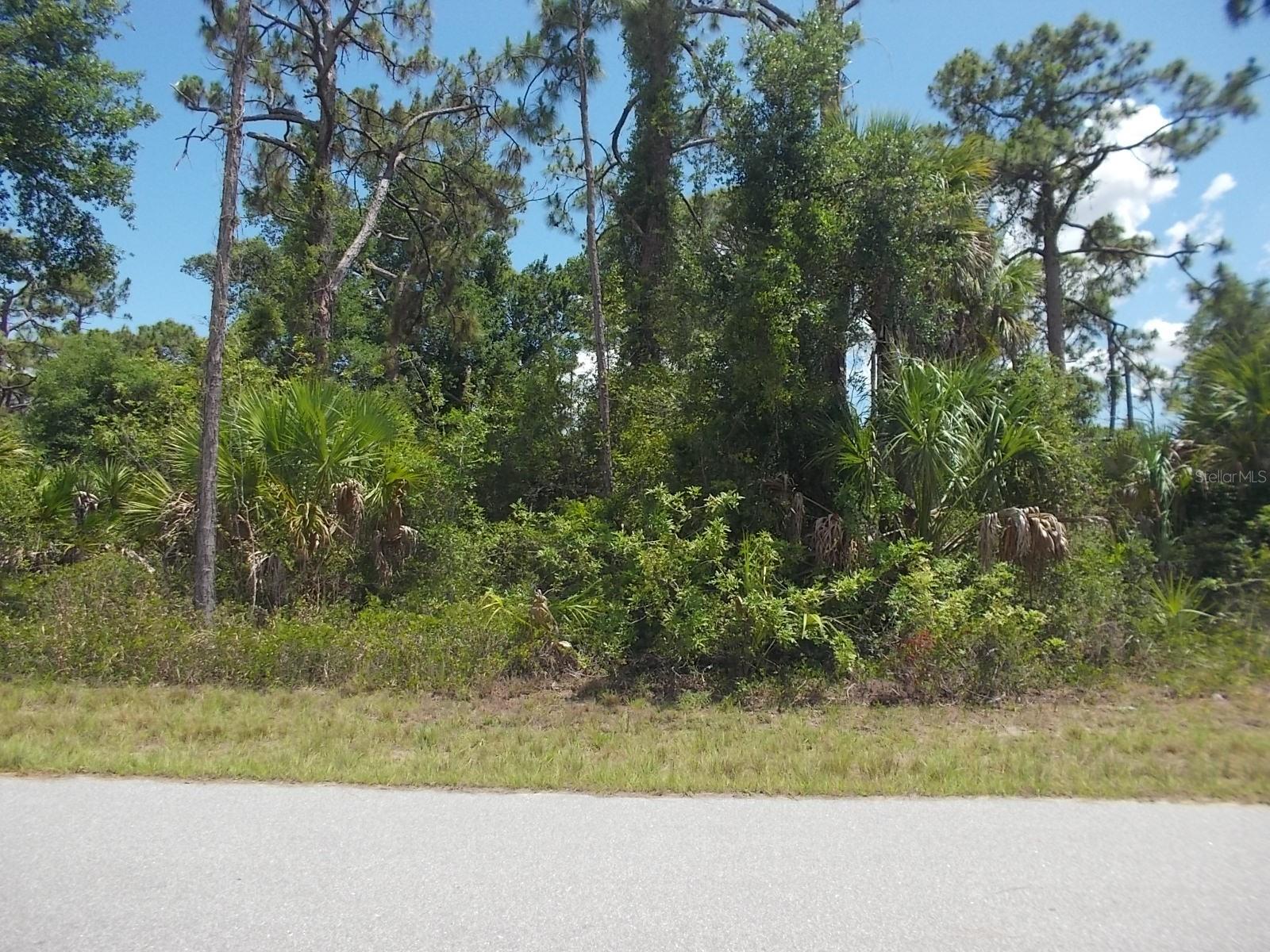 14232 ROTHSCHILD AVE, PORT CHARLOTTE, FL — photo 6