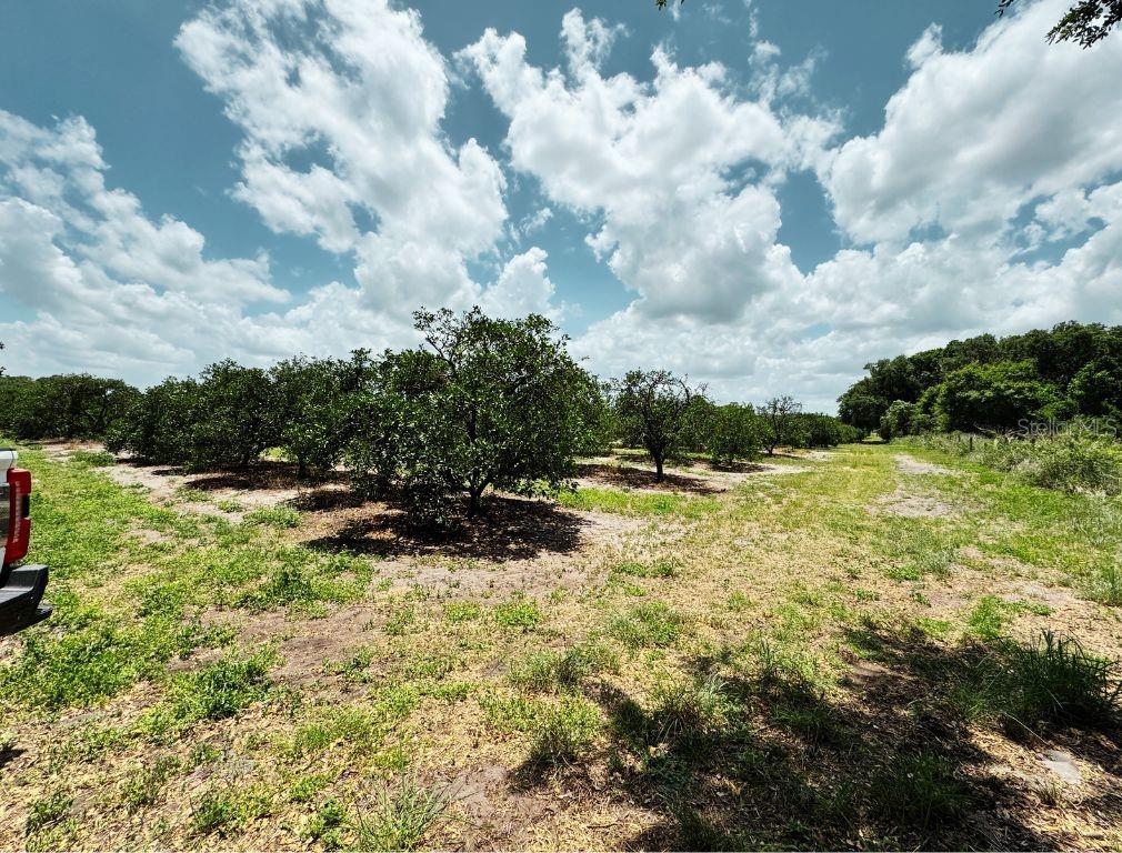 115 HEINLEY RD, LAKE PLACID, FL — photo 31