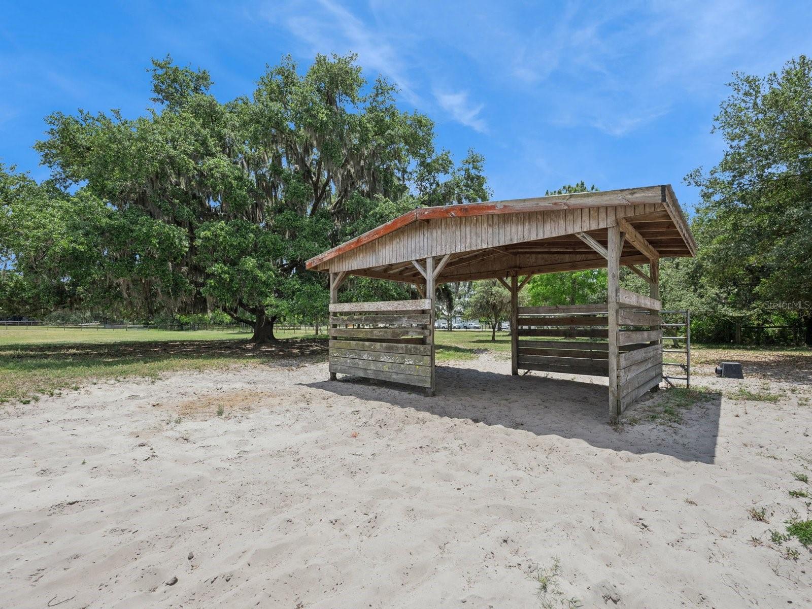 6001 MARTHAS LN, ST CLOUD, FL — photo 36