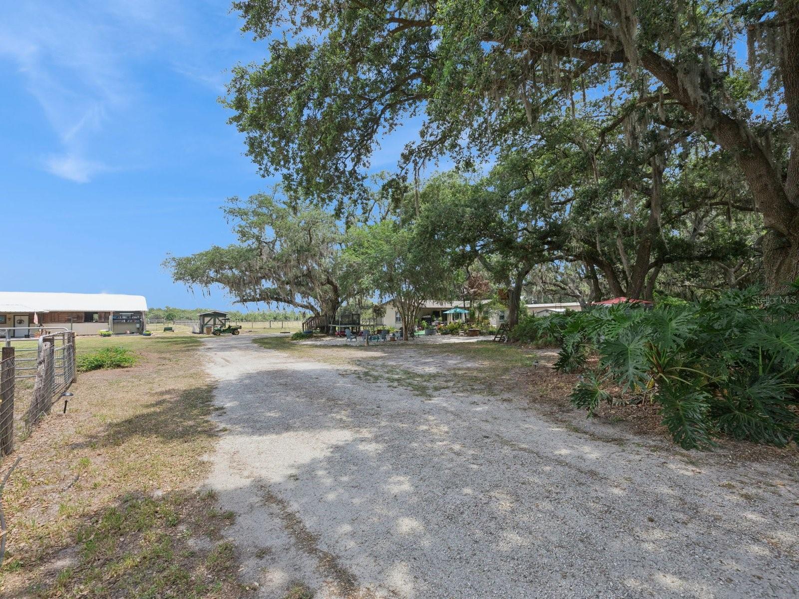 6001 MARTHAS LN, ST CLOUD, FL — photo 53