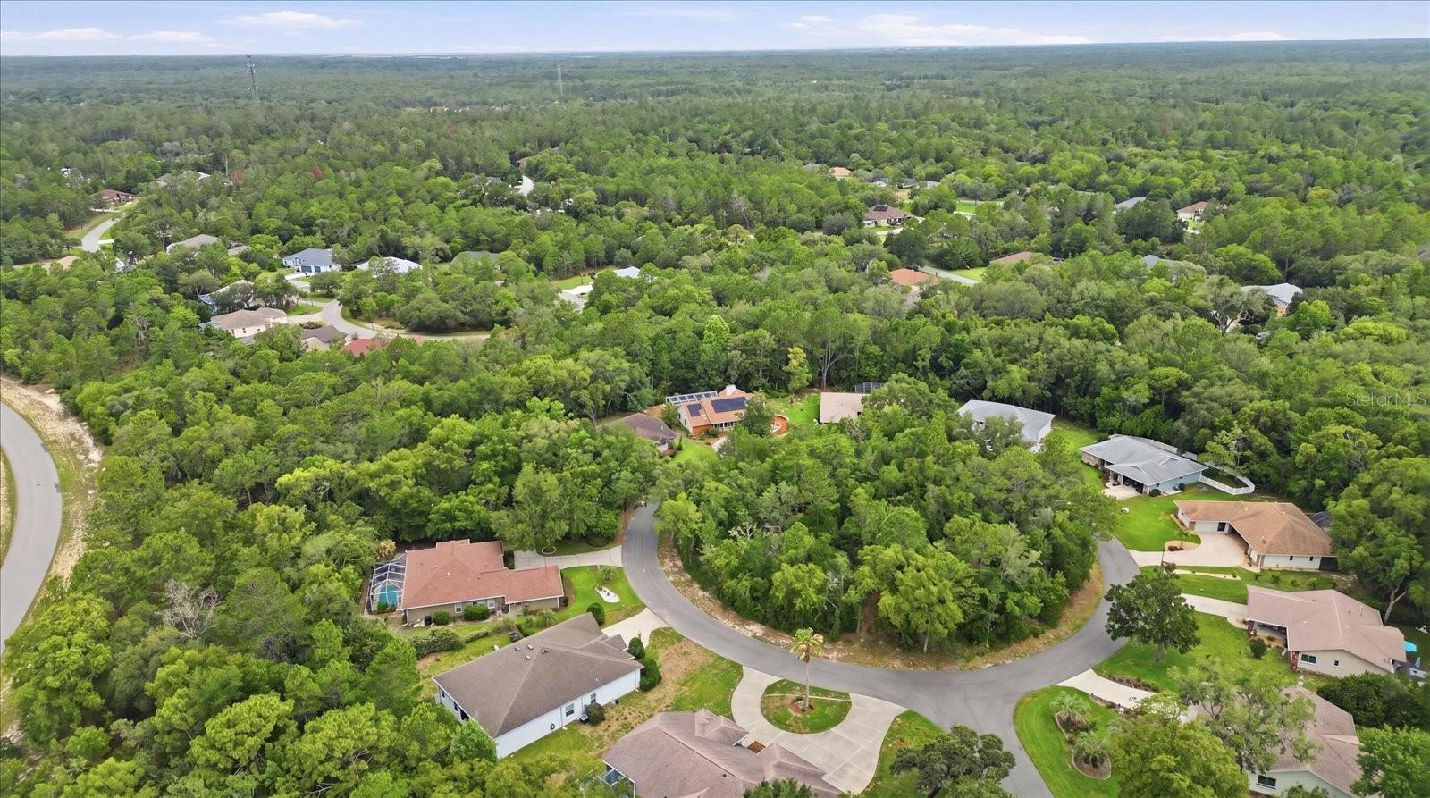 45 HOLLYHOCK CT, HOMOSASSA, FL — photo 46