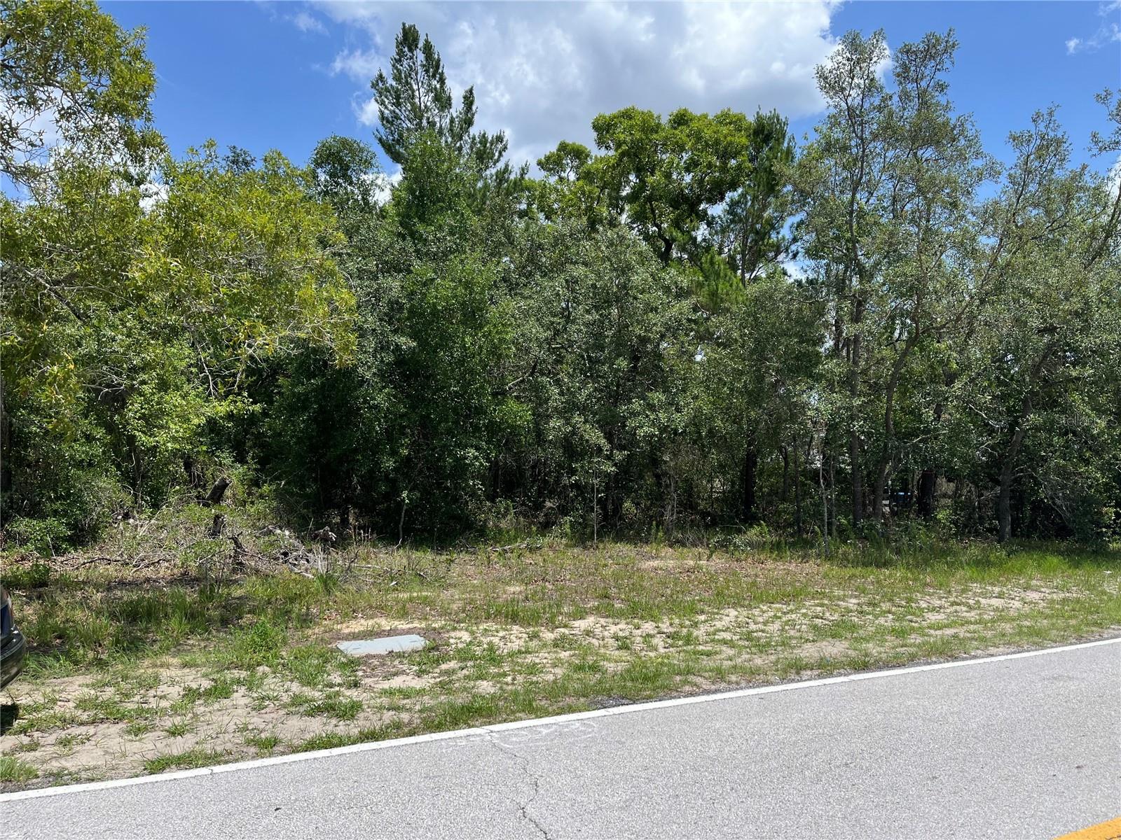 PINEHURST DR, SPRING HILL, FL