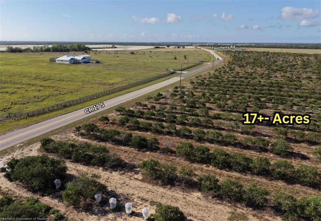 8961 COUNTY ROAD 17 S, SEBRING, FL — photo 4