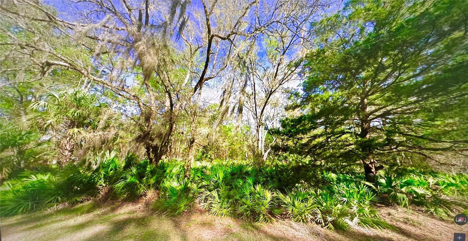 10047 W DUNNELLON RD, CRYSTAL RIVER, FL — photo 7