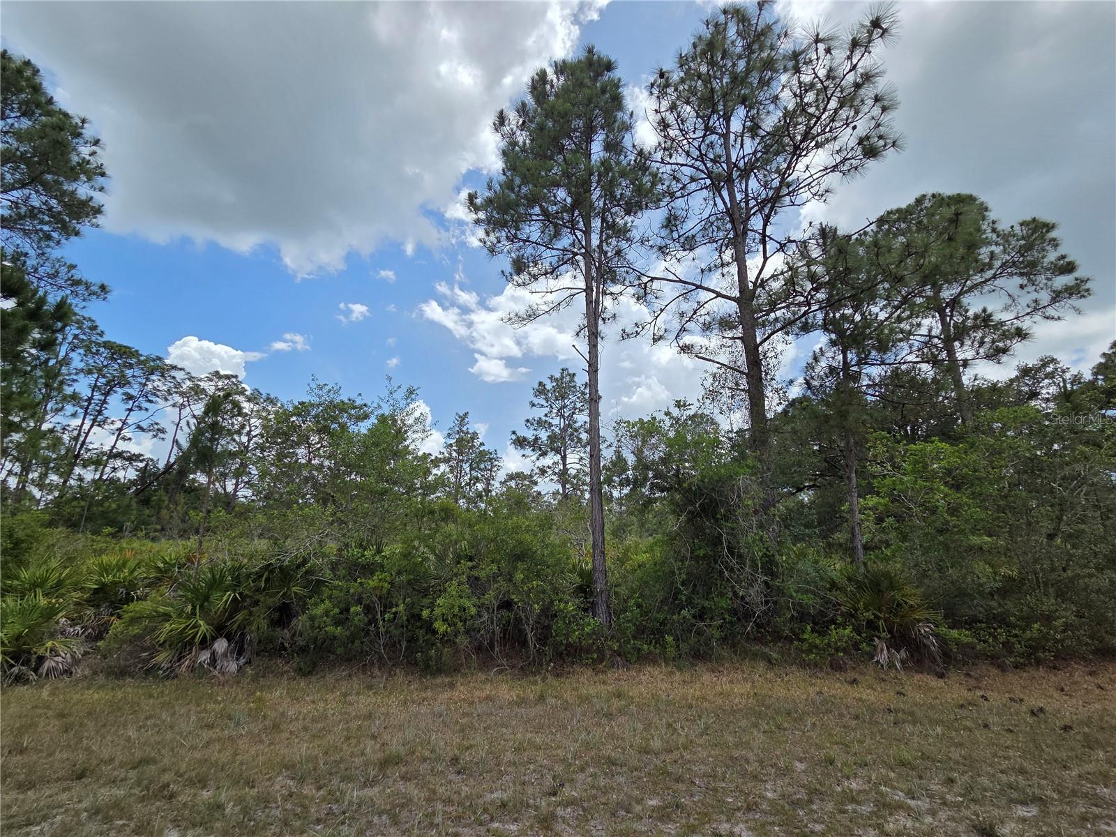 915 LAGUNA DR, INDIAN LAKE ESTATES, FL