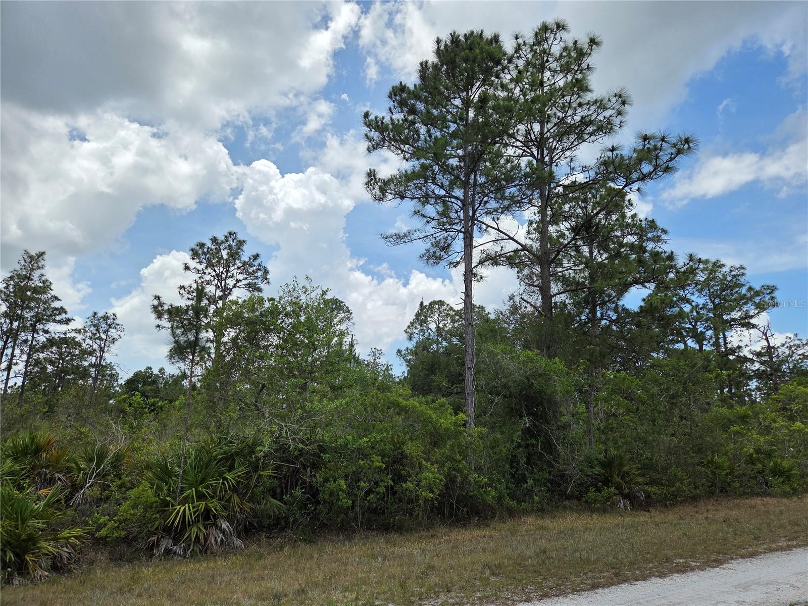 915 LAGUNA DR, INDIAN LAKE ESTATES, FL — photo 3